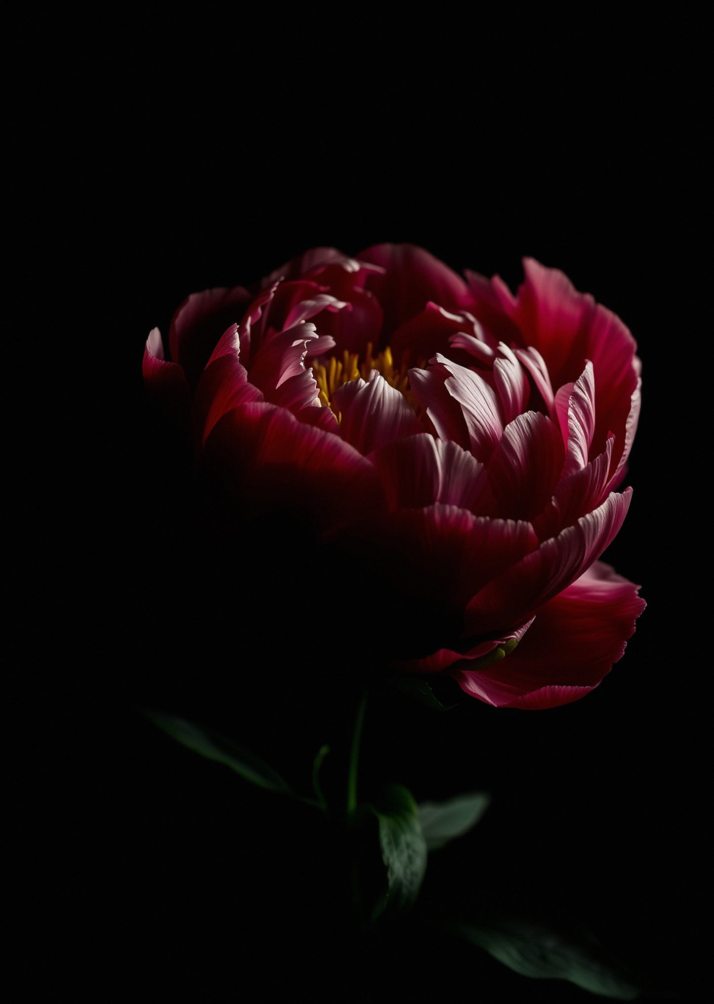 Dark Academia Florals — Gallery Trio