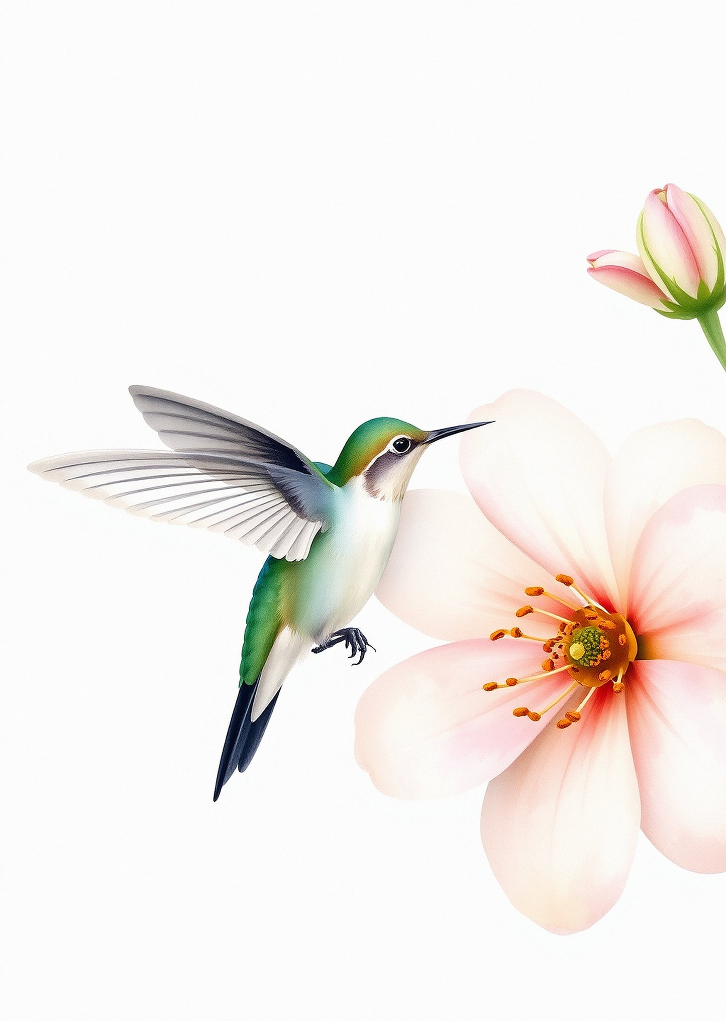 Garden Birds — Gallery Trio