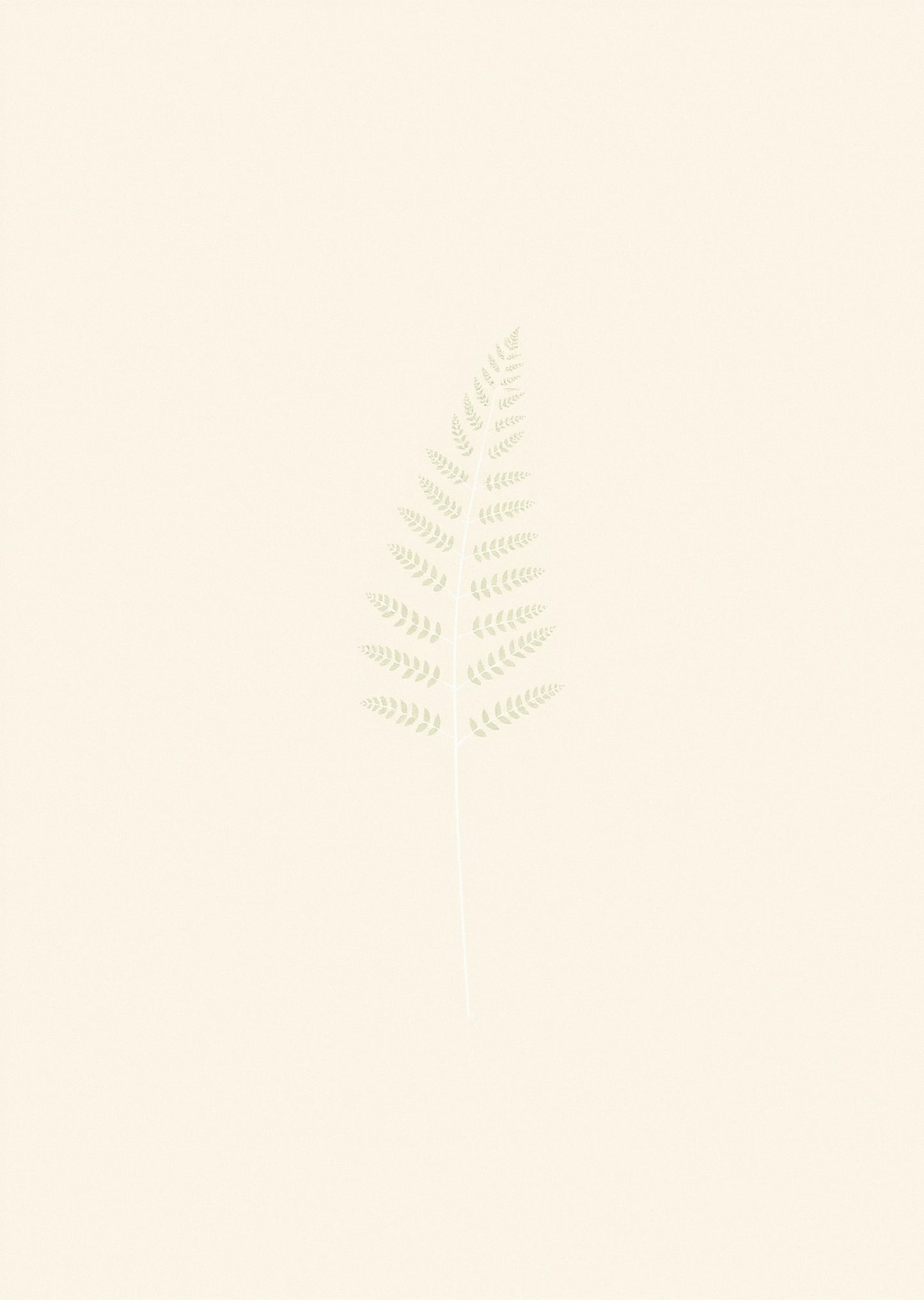Sage Botanical — Gallery Trio