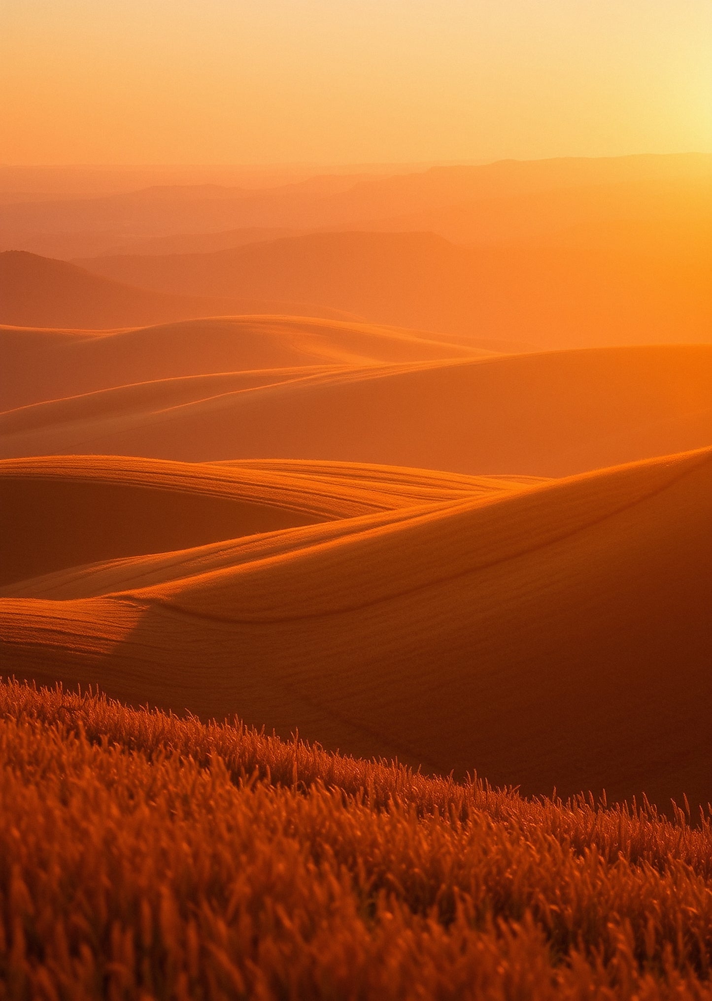 Golden Hour — Gallery Trio
