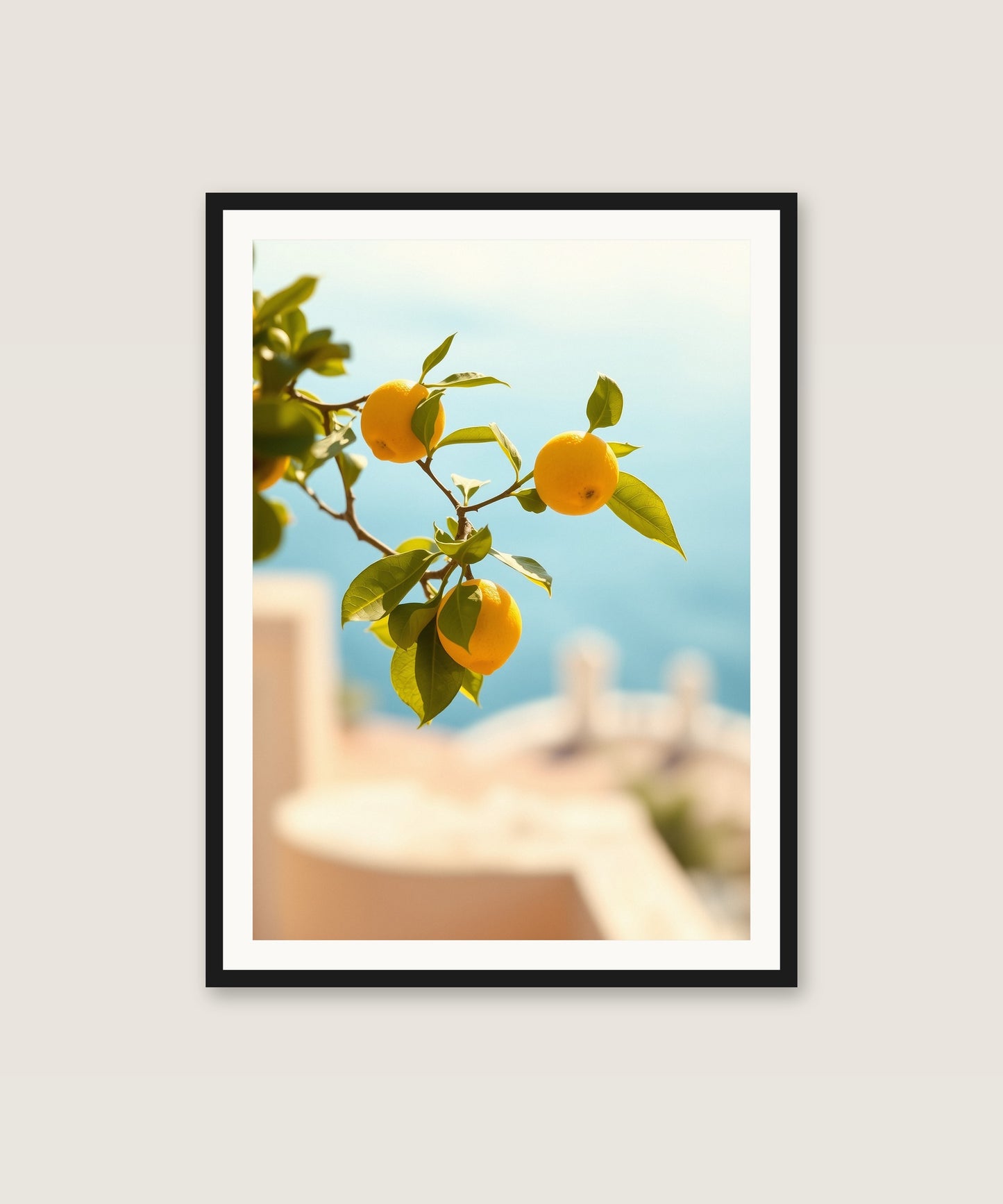 Lemon Branch