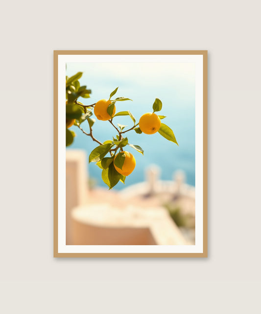 Lemon Branch