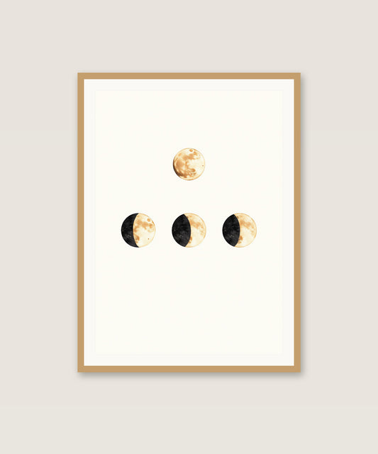 Moon Phases