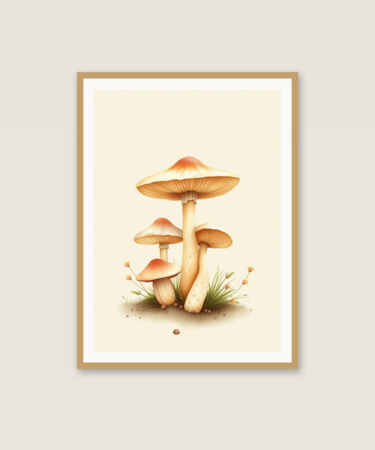 Mushroom Glade