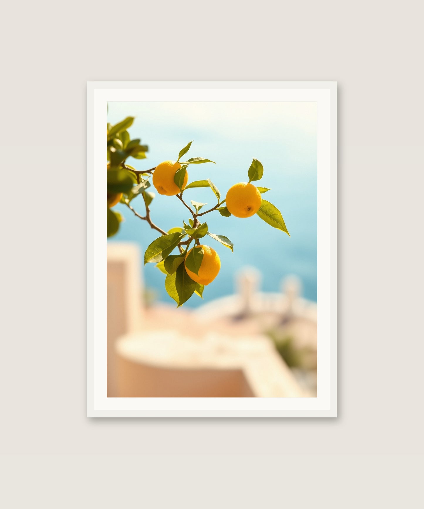 Lemon Branch