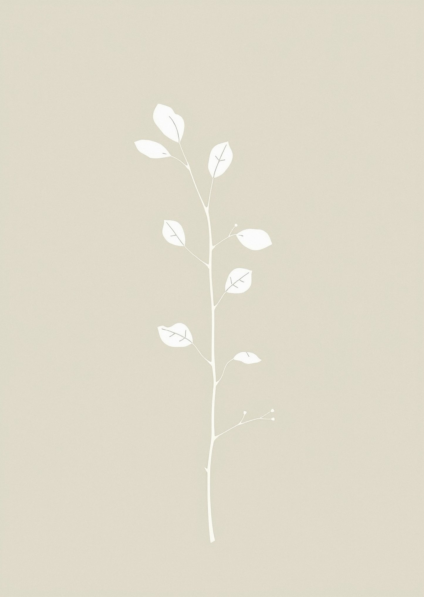 Sage Botanical — Gallery Trio