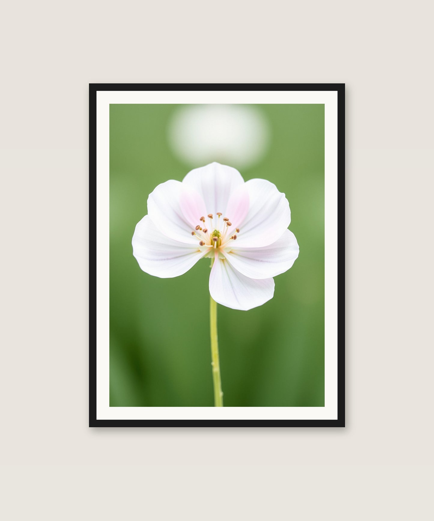 Single Bloom