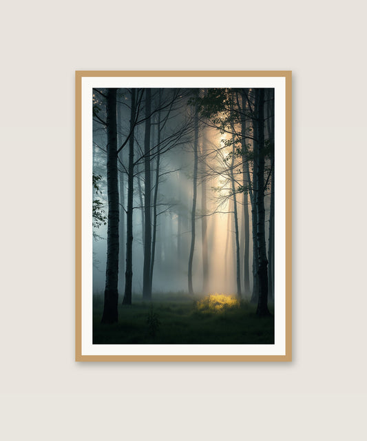 Birch Grove