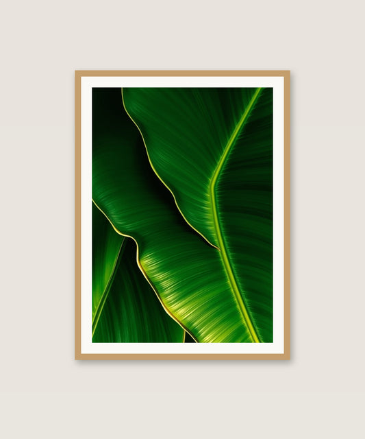 Banana Leaf