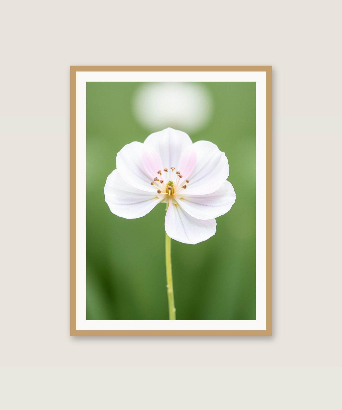 Single Bloom