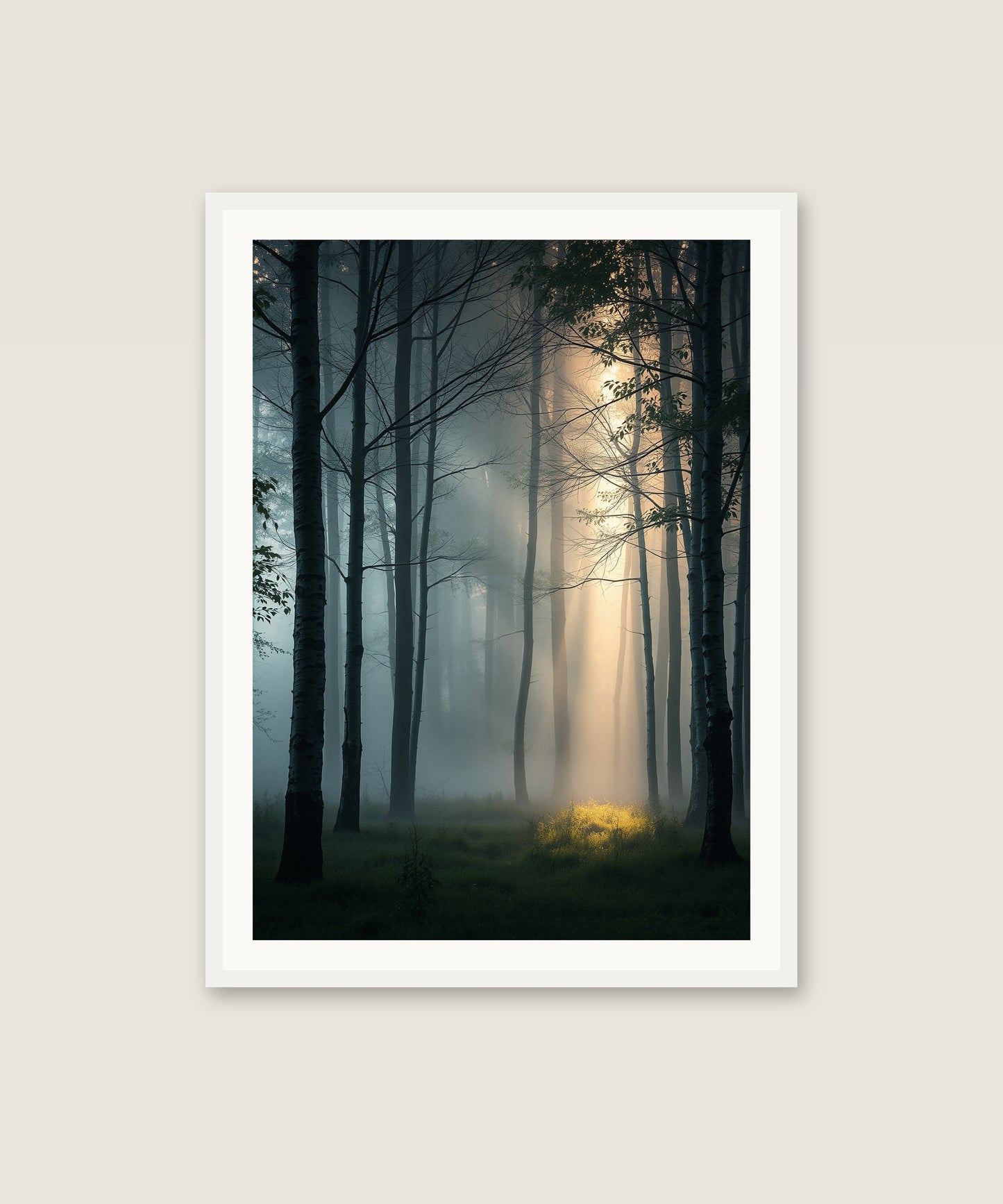 Birch Grove