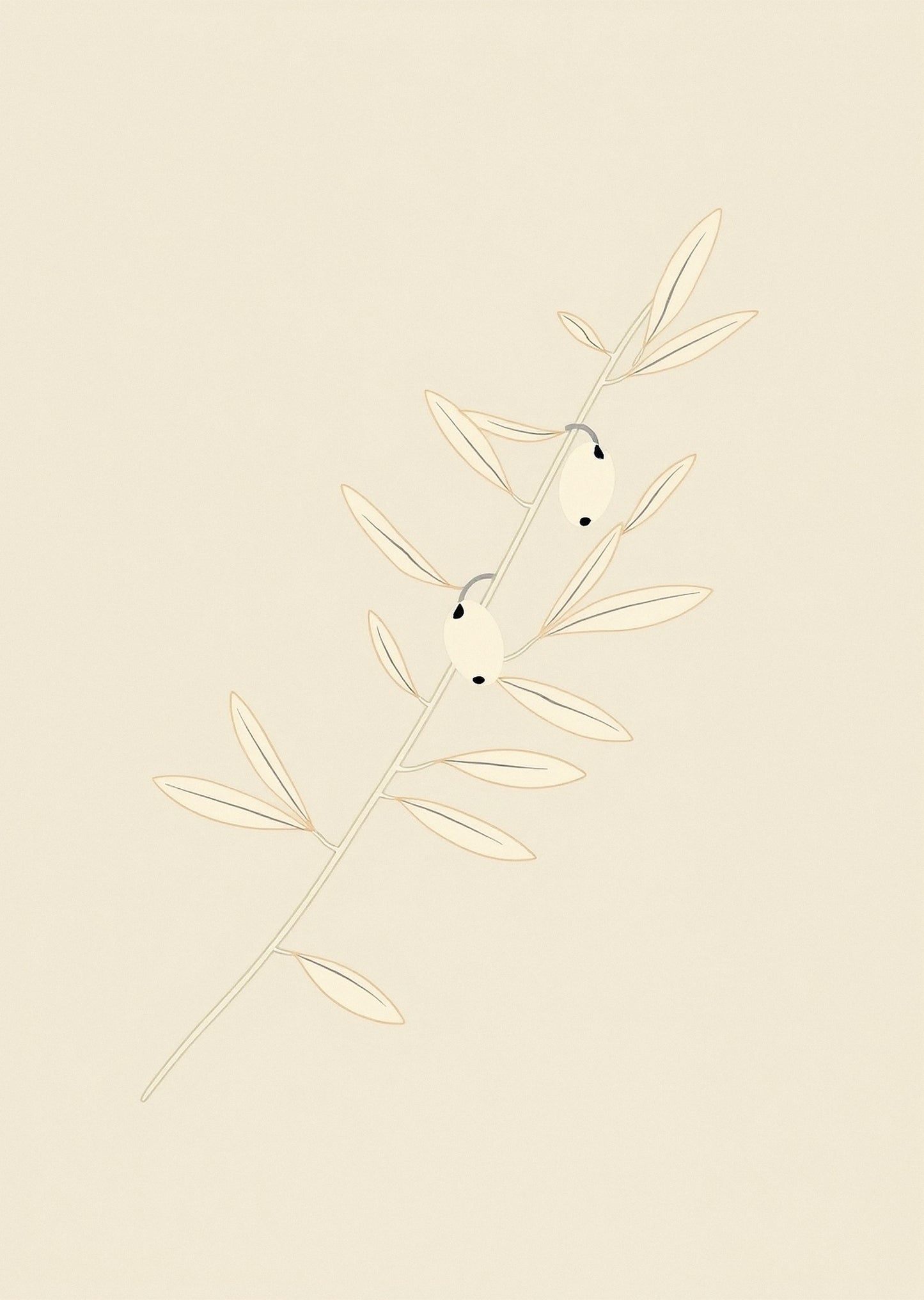 Sage Botanical — Gallery Trio