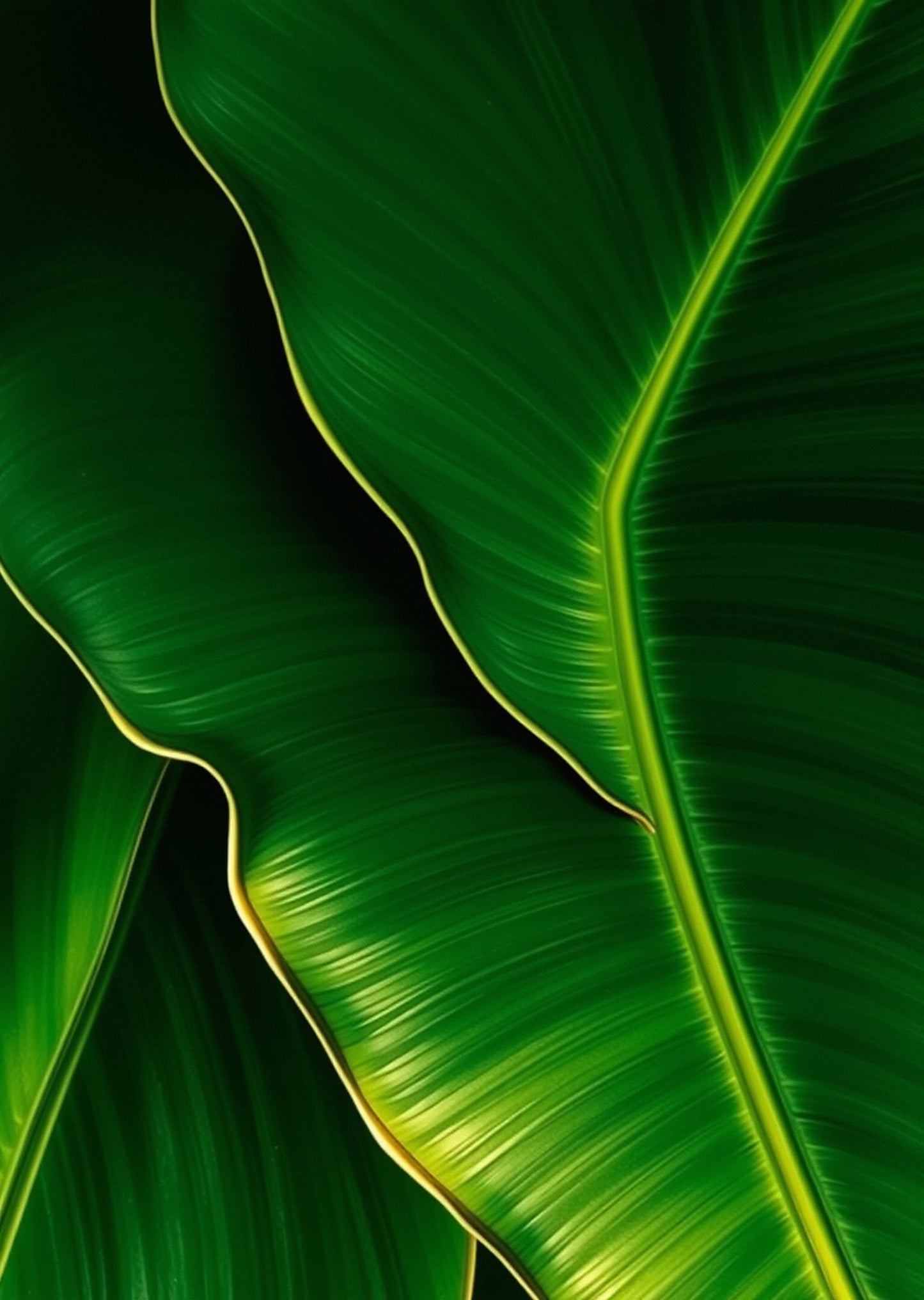Jungle Green — Gallery Trio