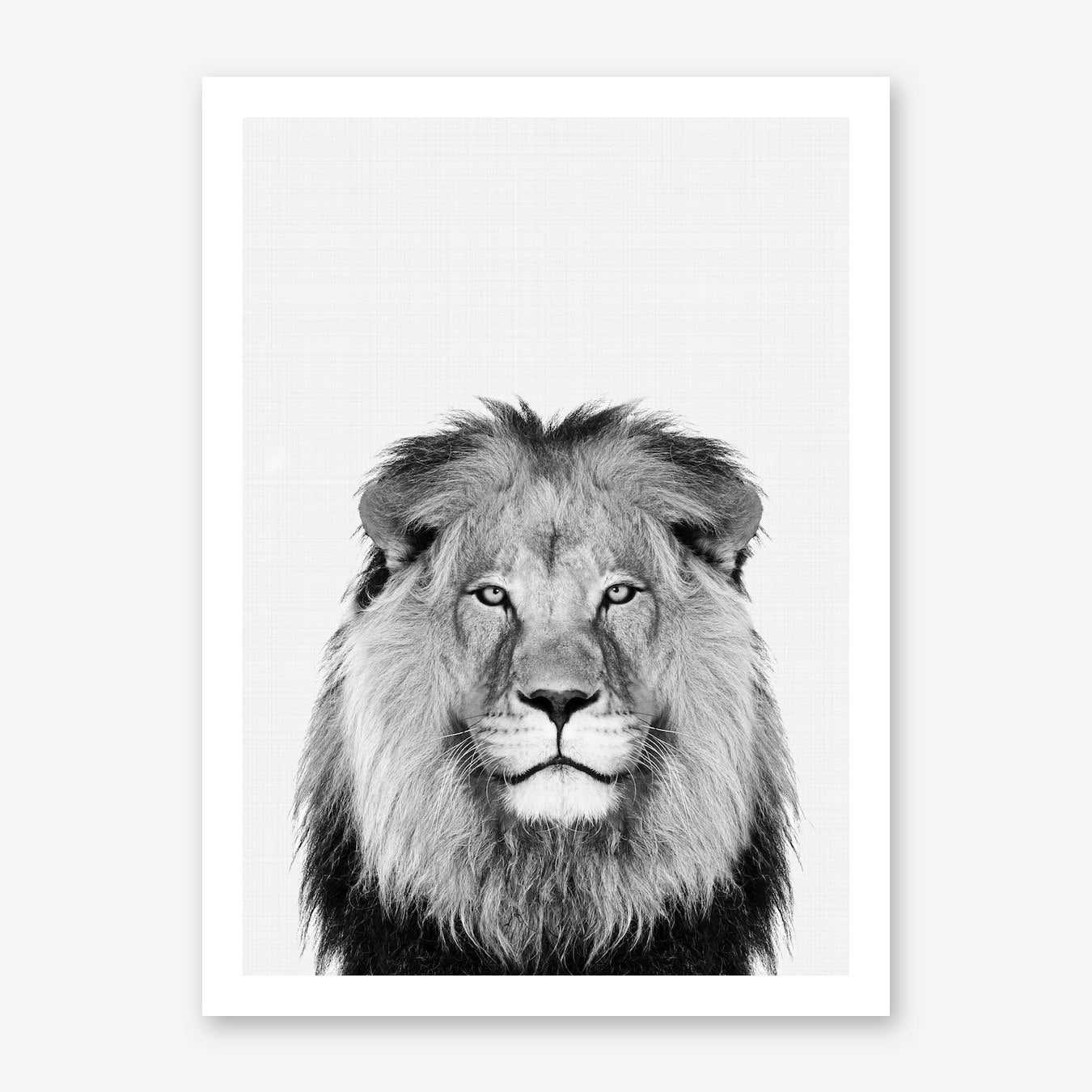 Lion Portrait Art Print Framed Wall Art Poster Canvas Print Picture