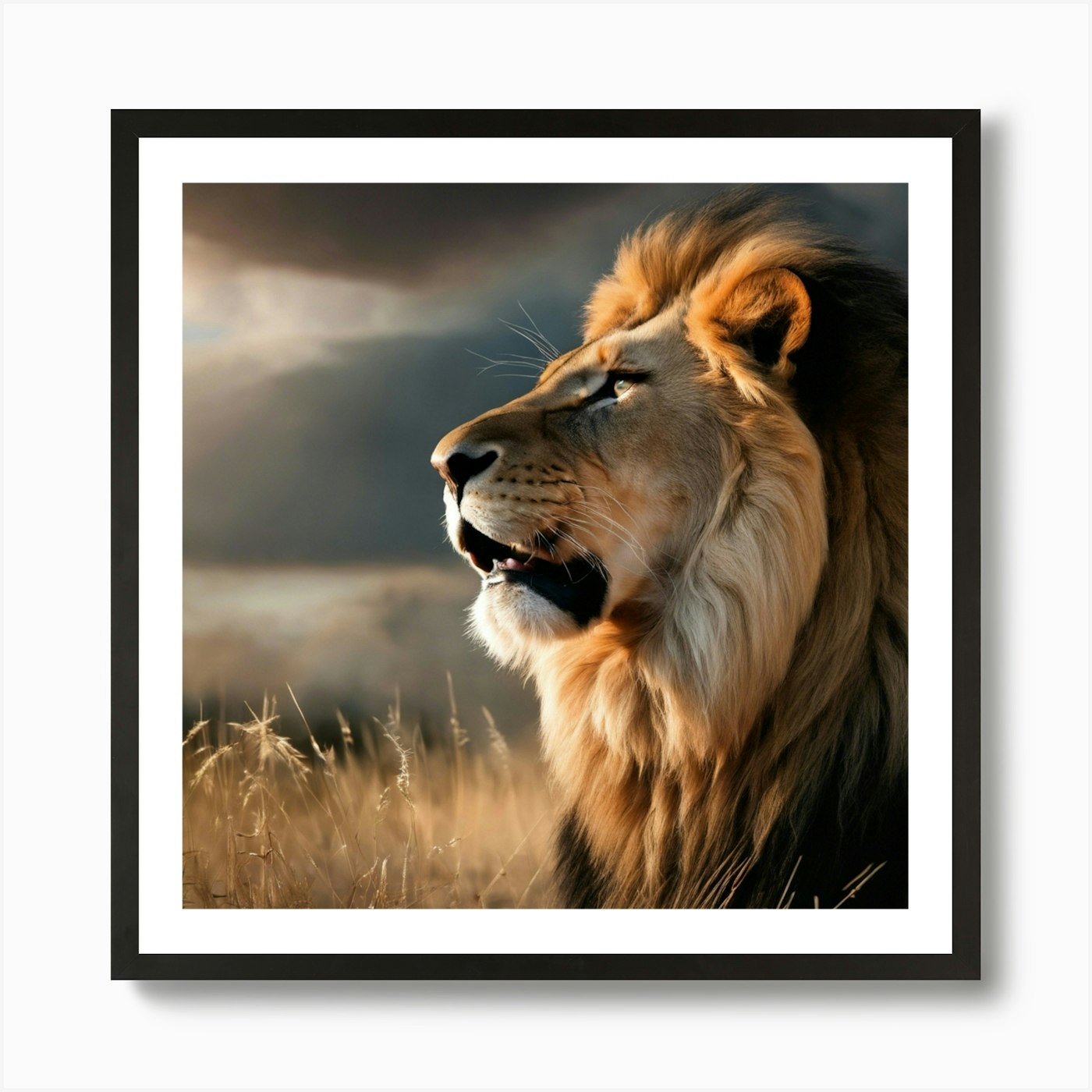 Lion In The Grass 1 Art Print Framed Wall Art Poster Canvas Print Picture