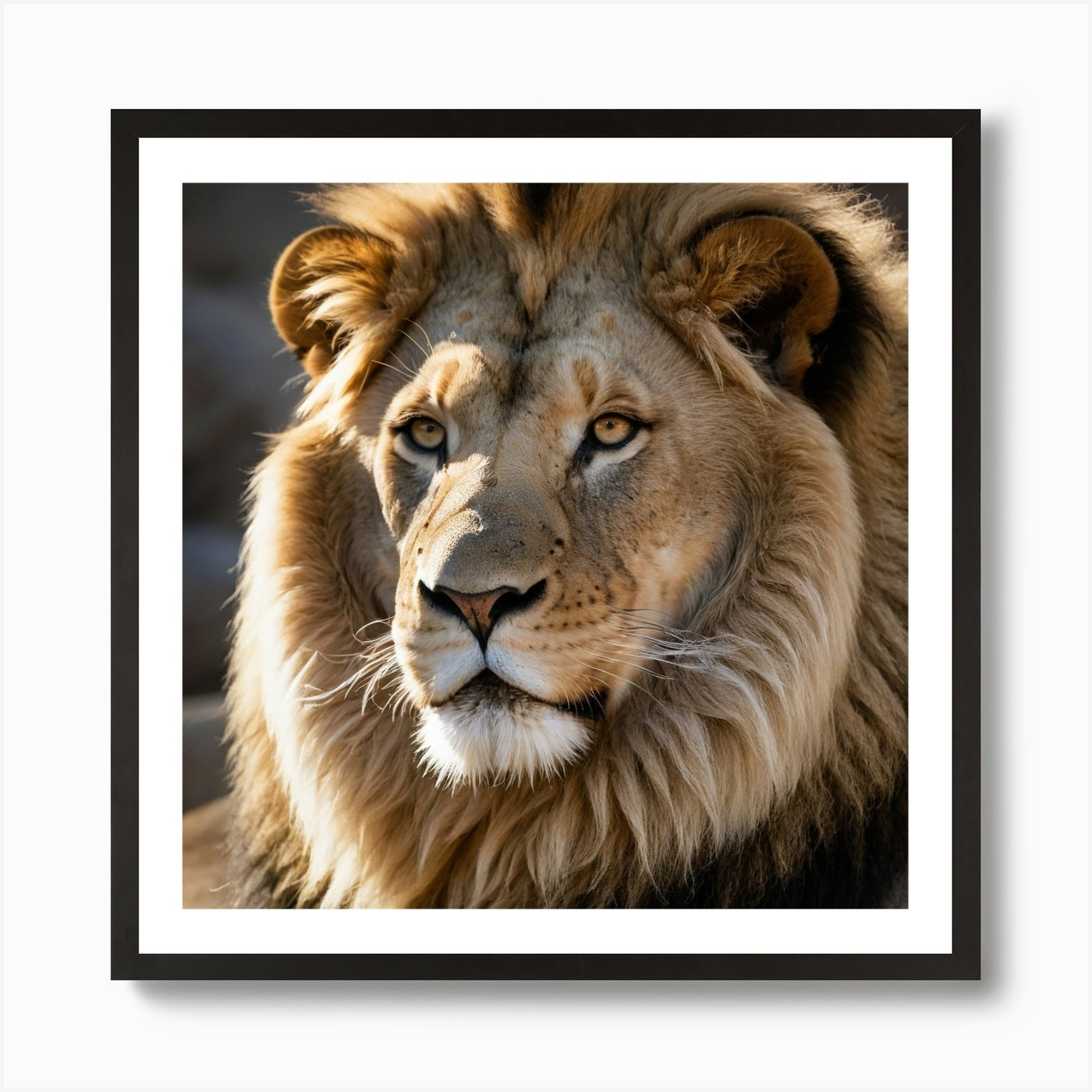 Lion Portrait Art Print Framed Wall Art Poster Canvas Print Picture