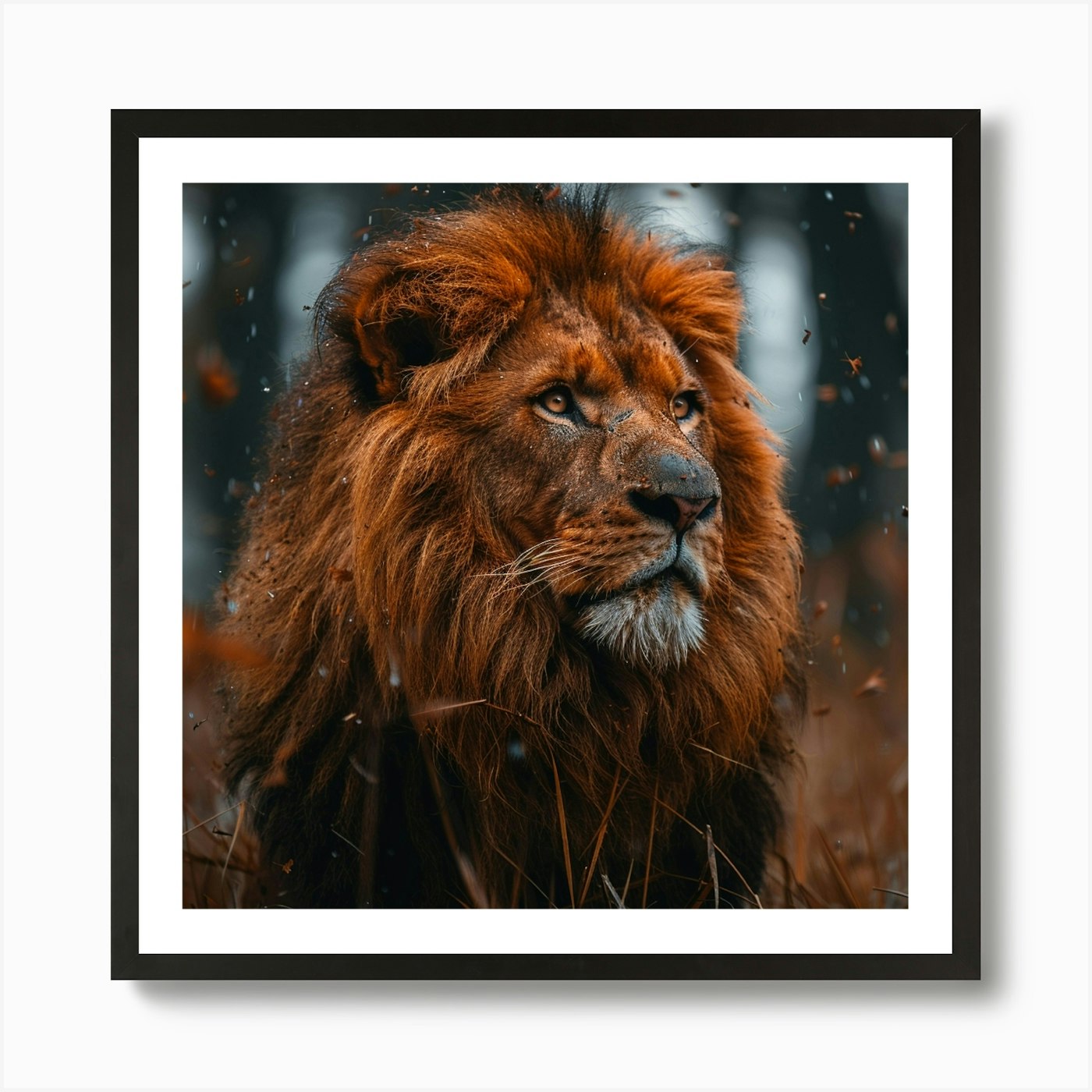 Lion In The Forest 1 Art Print Framed Wall Art Poster Canvas Print Picture
