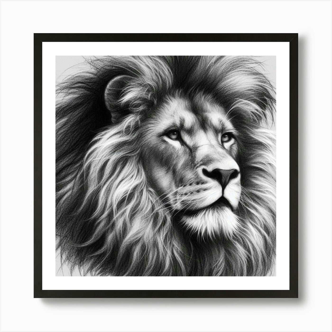 Lion Drawing in charcoal Art Print Framed Wall Art Poster Canvas Print Picture