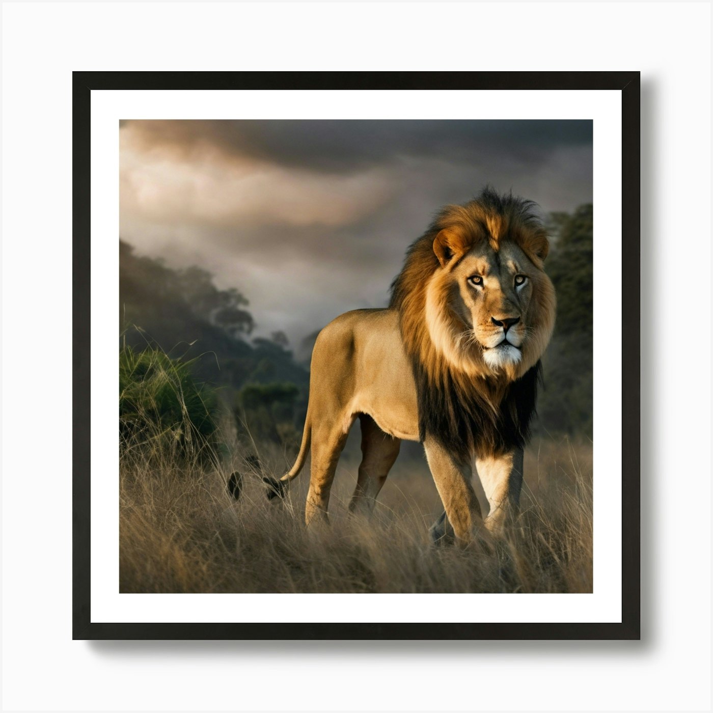Lion In The Grass Art Print Framed Wall Art Poster Canvas Print Picture