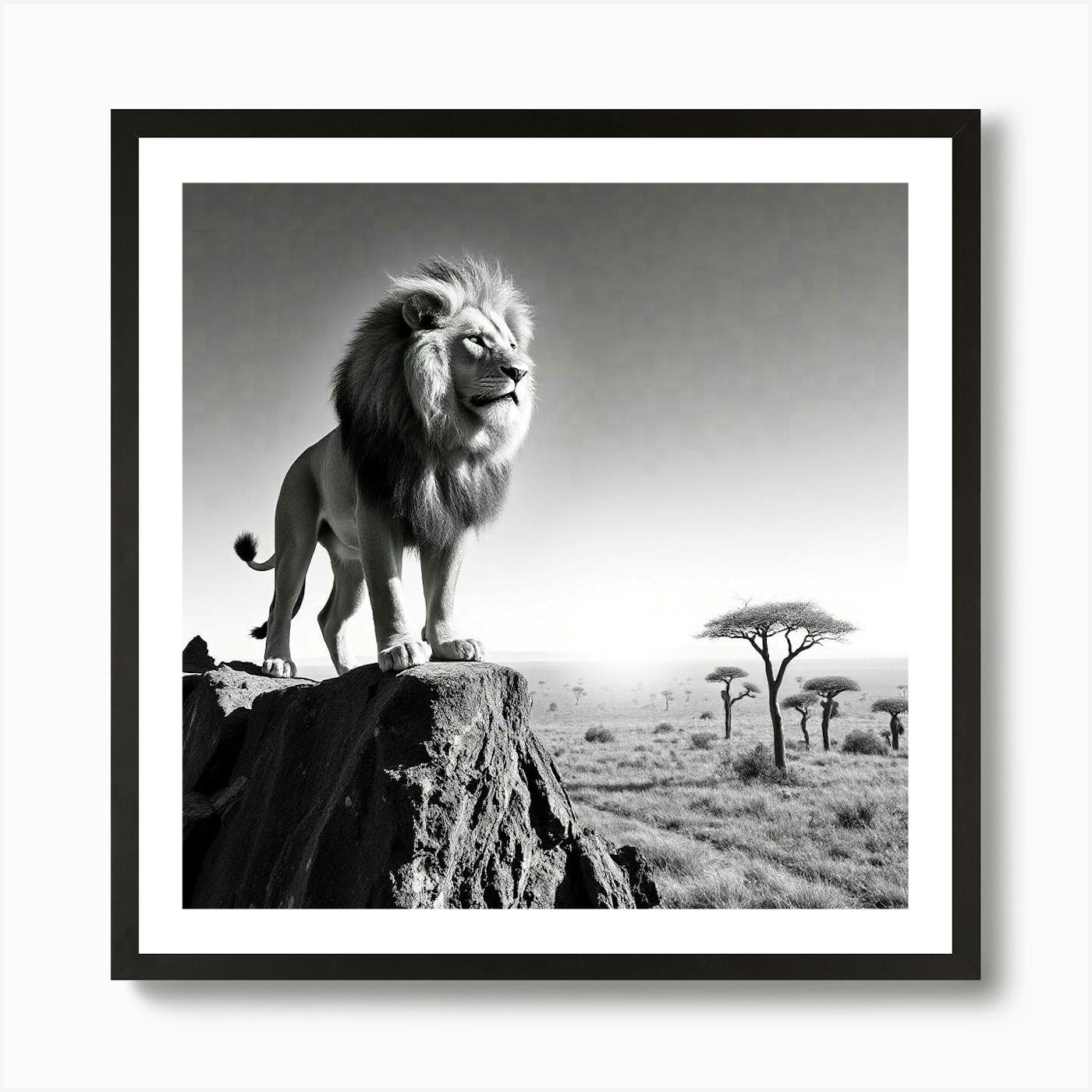 Lion 2 Art Print Framed Wall Art Poster Canvas Print Picture