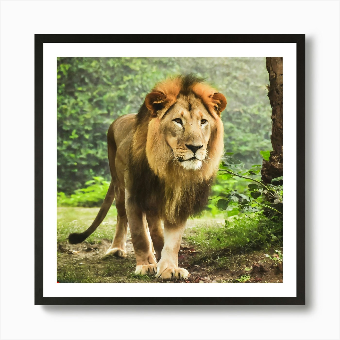 Lion In The Forest Art Print Framed Wall Art Poster Canvas Print Picture