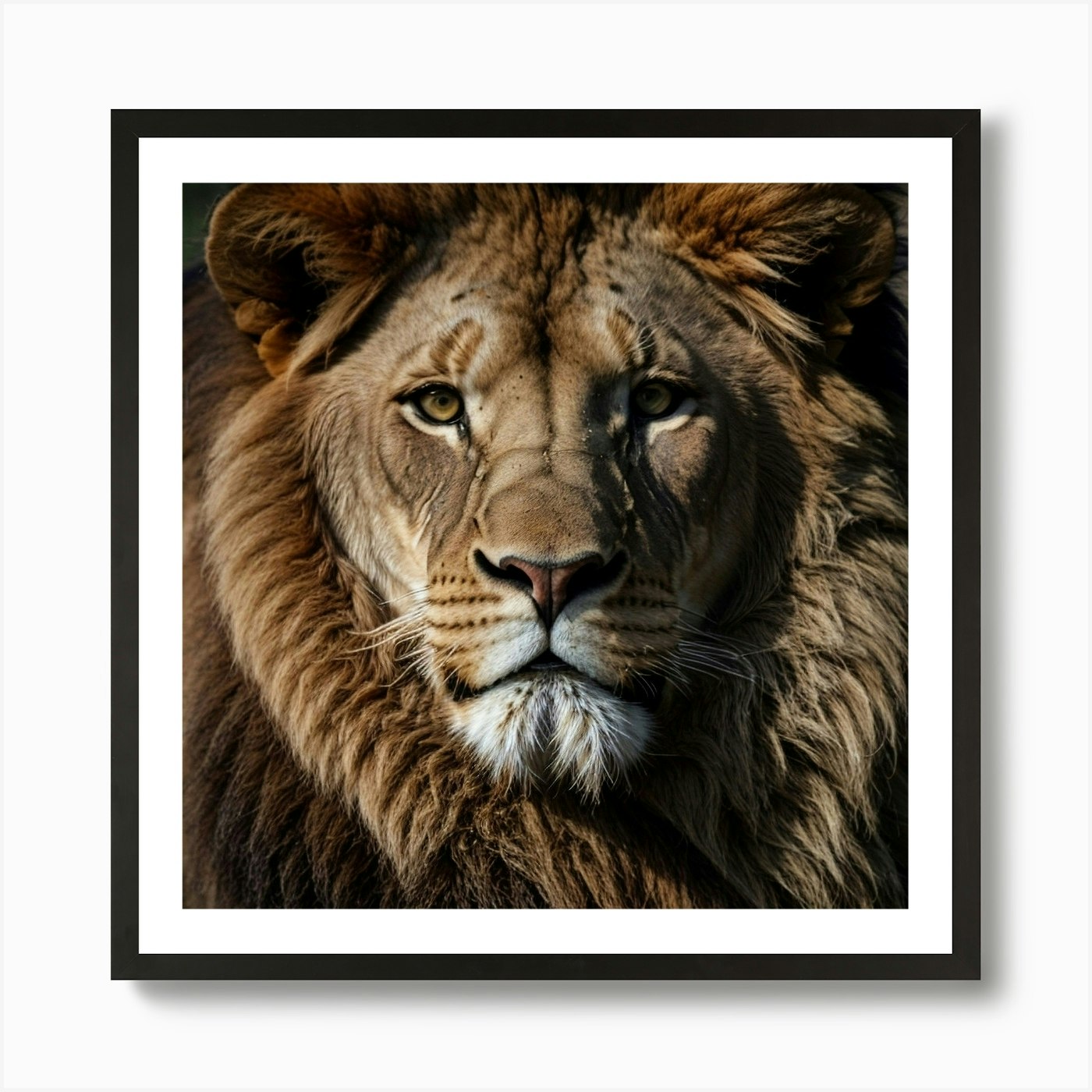 Lion Portrait Art Print Framed Wall Art Poster Canvas Print Picture