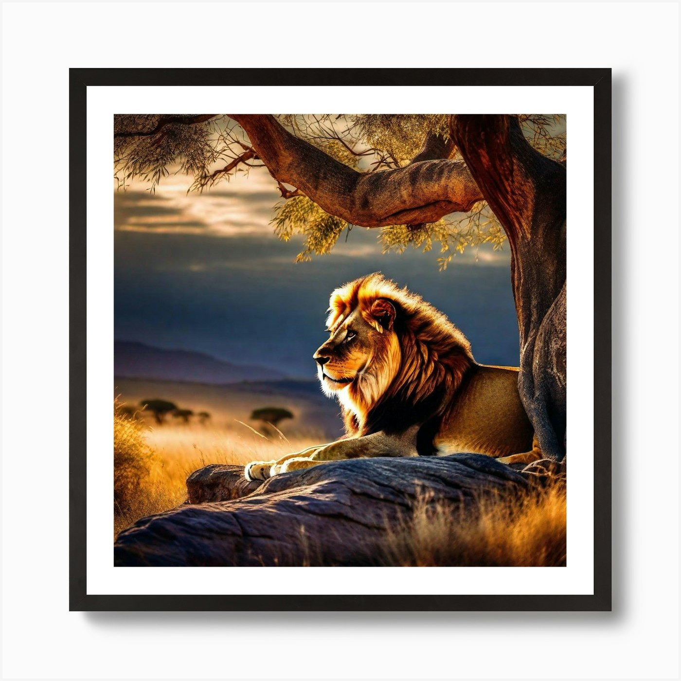 Lion In The Savannah 25 Art Print Framed Wall Art Poster Canvas Print Picture