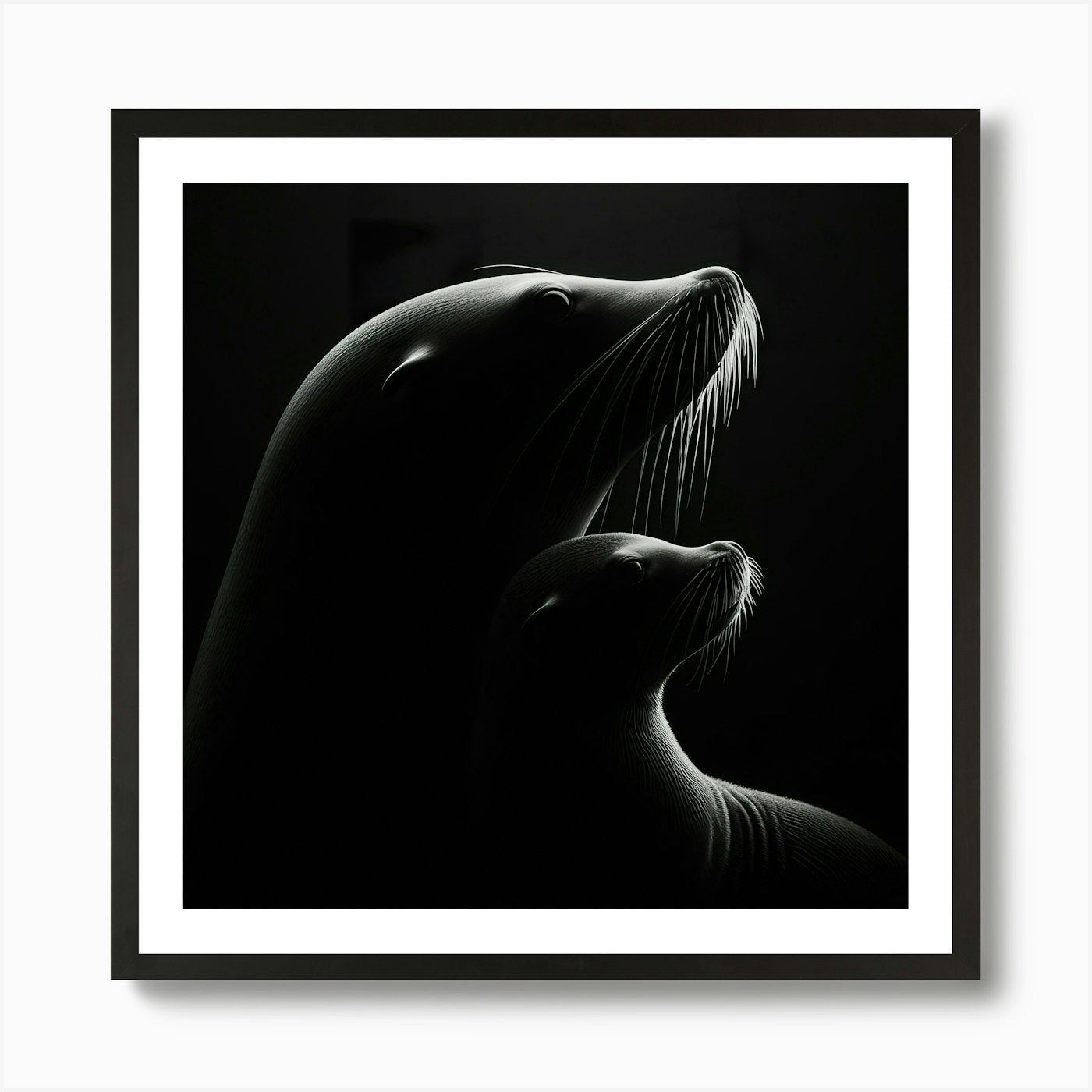 Sea Lions 1 Art Print Framed Wall Art Poster Canvas Print Picture