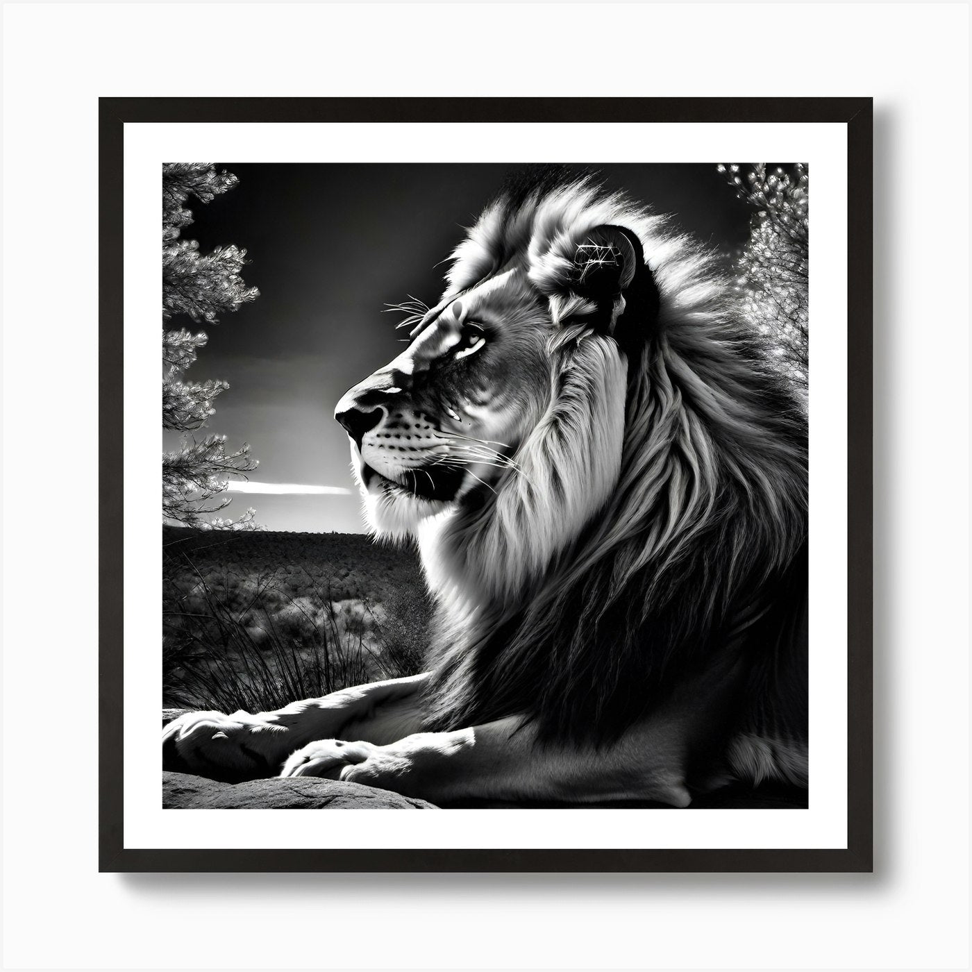 Lion In Black And White 8 Art Print Framed Wall Art Poster Canvas Print Picture