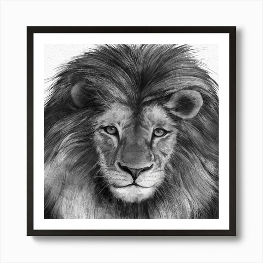 Lions Art Print Framed Wall Art Poster Canvas Print Picture