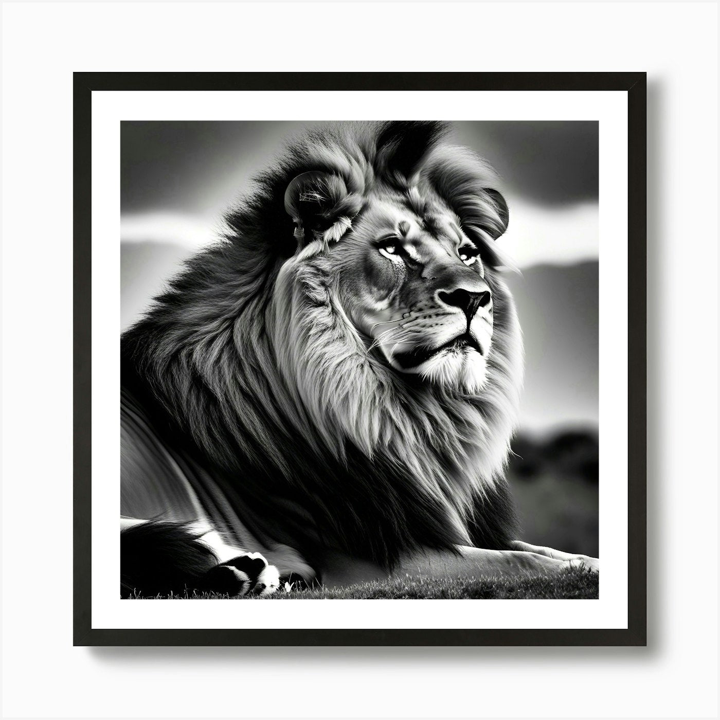 Lionnn 3 Art Print Framed Wall Art Poster Canvas Print Picture