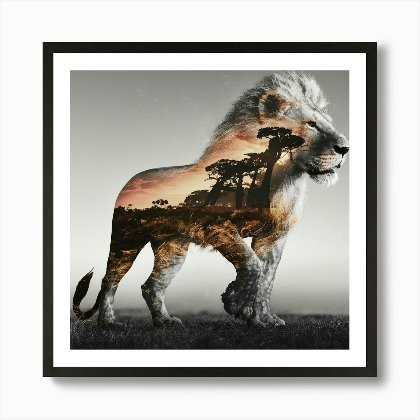 Portrait Of A Lion Art Print Framed Wall Art Poster Canvas Print Picture