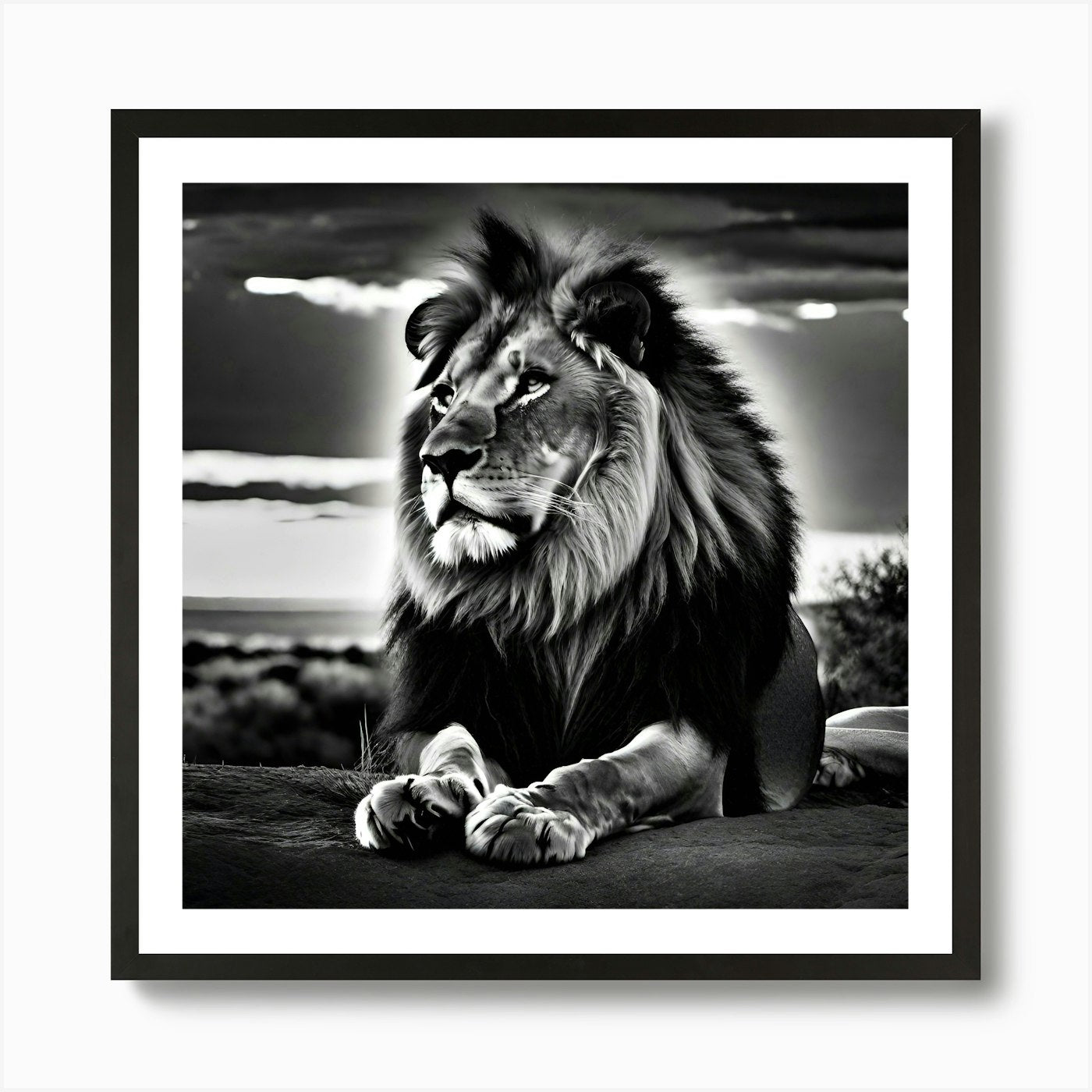 Lion12 Art Print Framed Wall Art Poster Canvas Print Picture