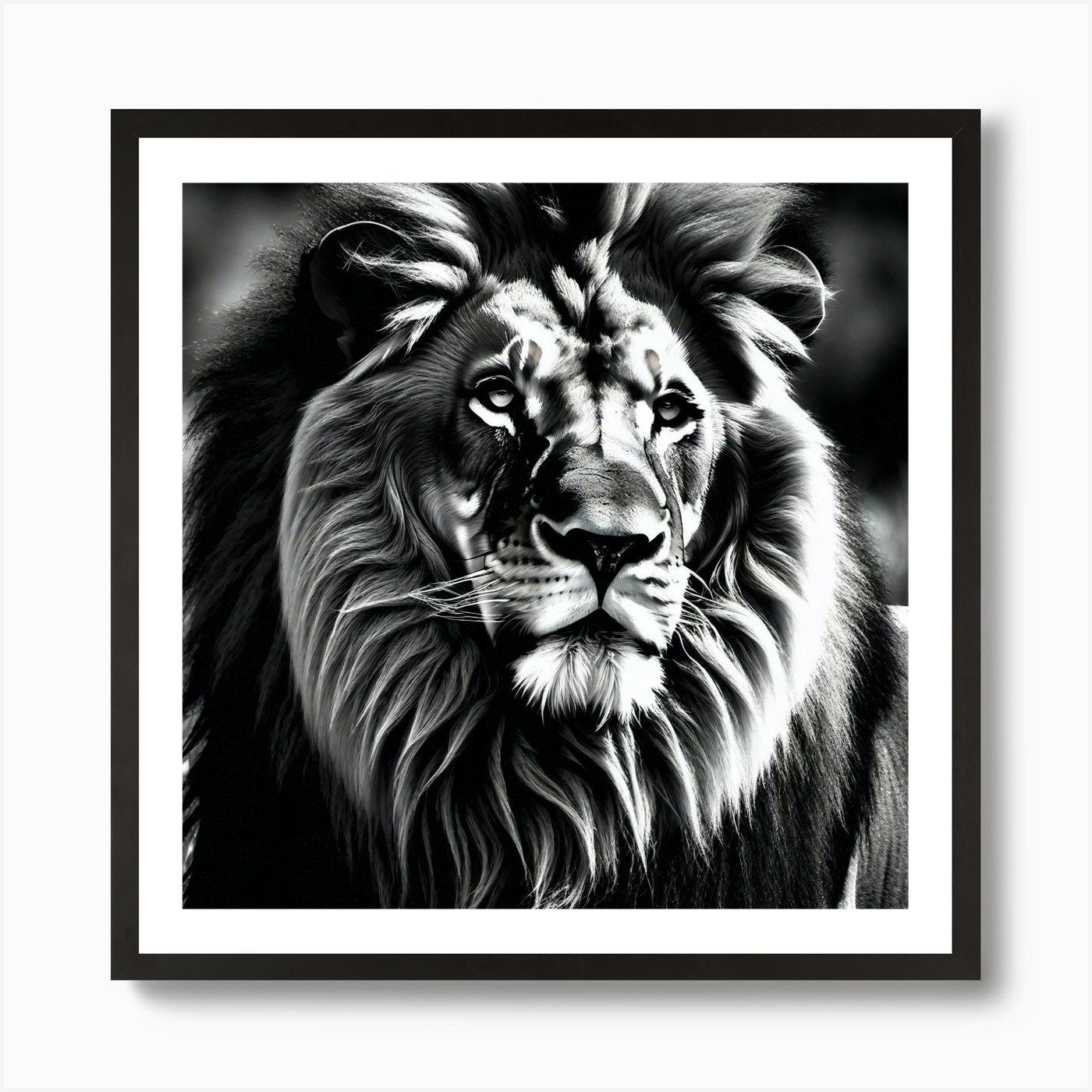 Lion In Black And White Art Print Framed Wall Art Poster Canvas Print Picture