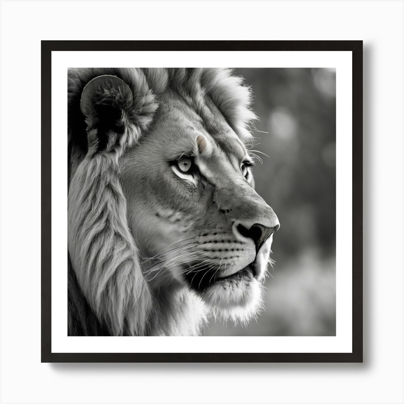 Monochrome Lion Art Print Framed Wall Art Poster Canvas Print Picture