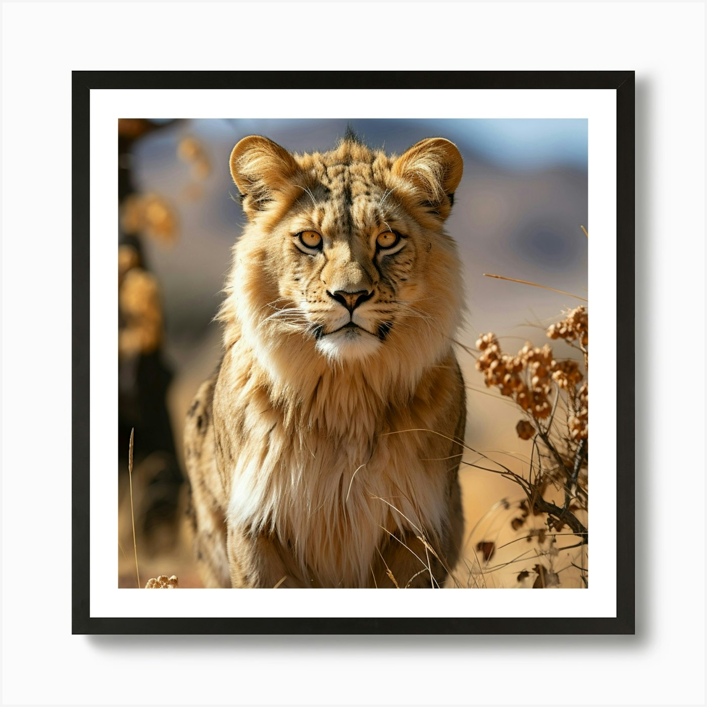 Lion In The Wild 1 Art Print Framed Wall Art Poster Canvas Print Picture