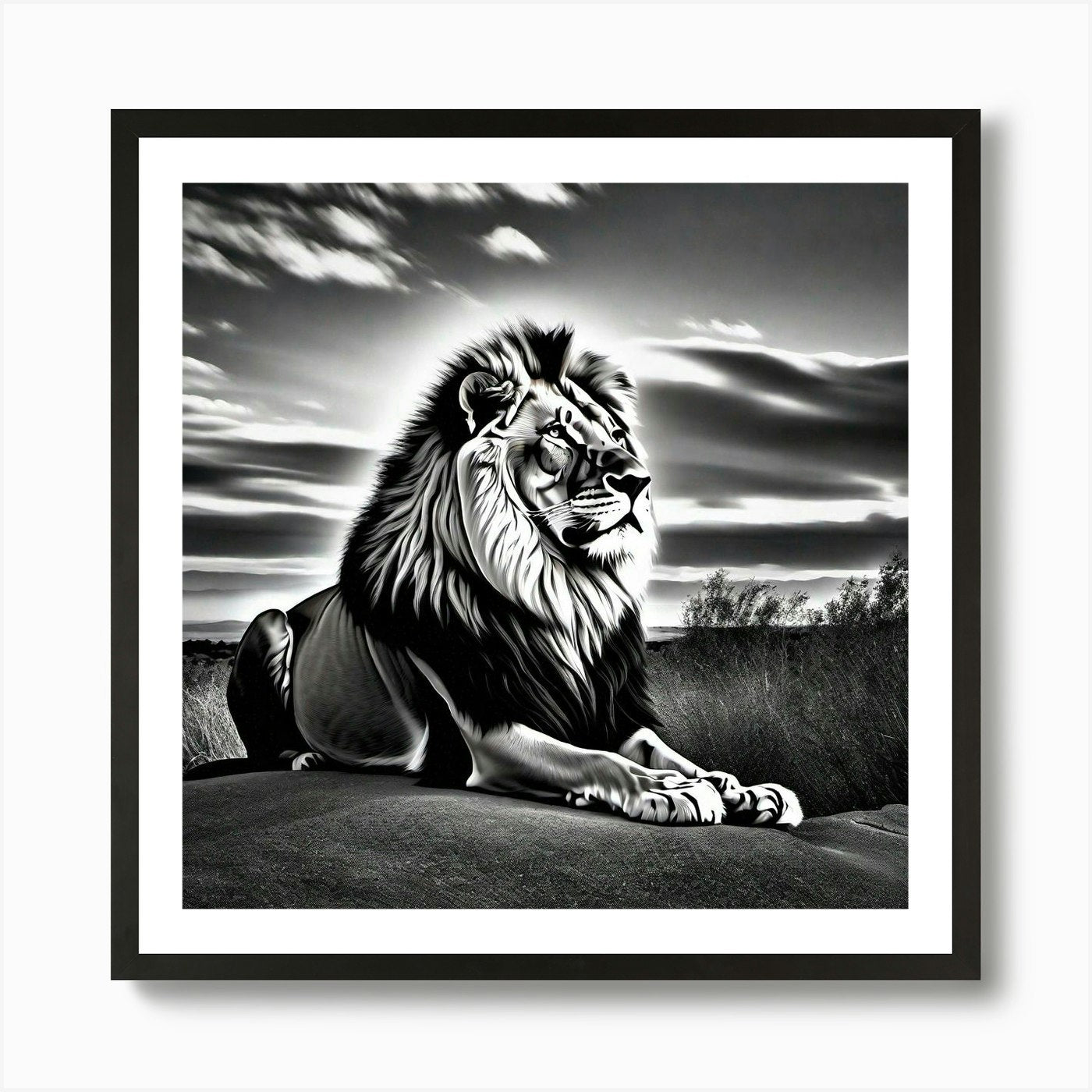 Lion In Black And White Art Print Framed Wall Art Poster Canvas Print Picture