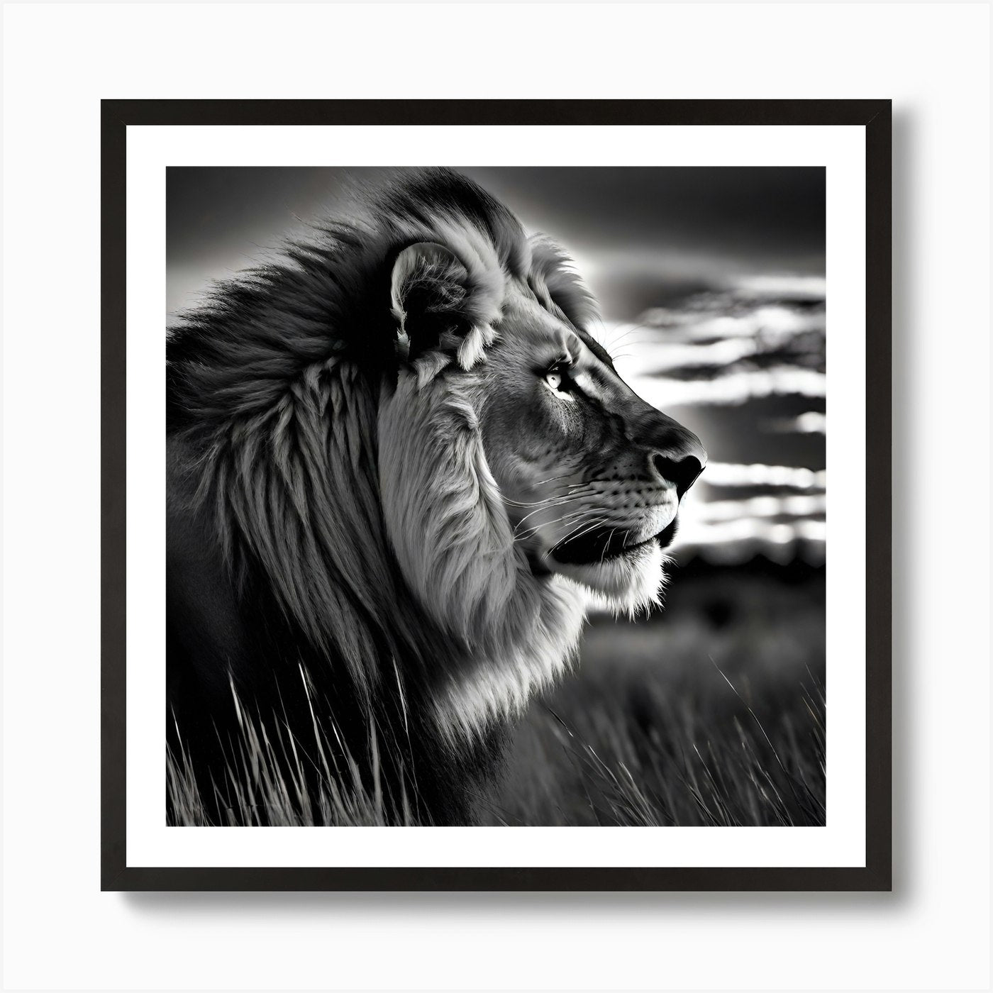 Lion In The Grass 3 Art Print Framed Wall Art Poster Canvas Print Picture