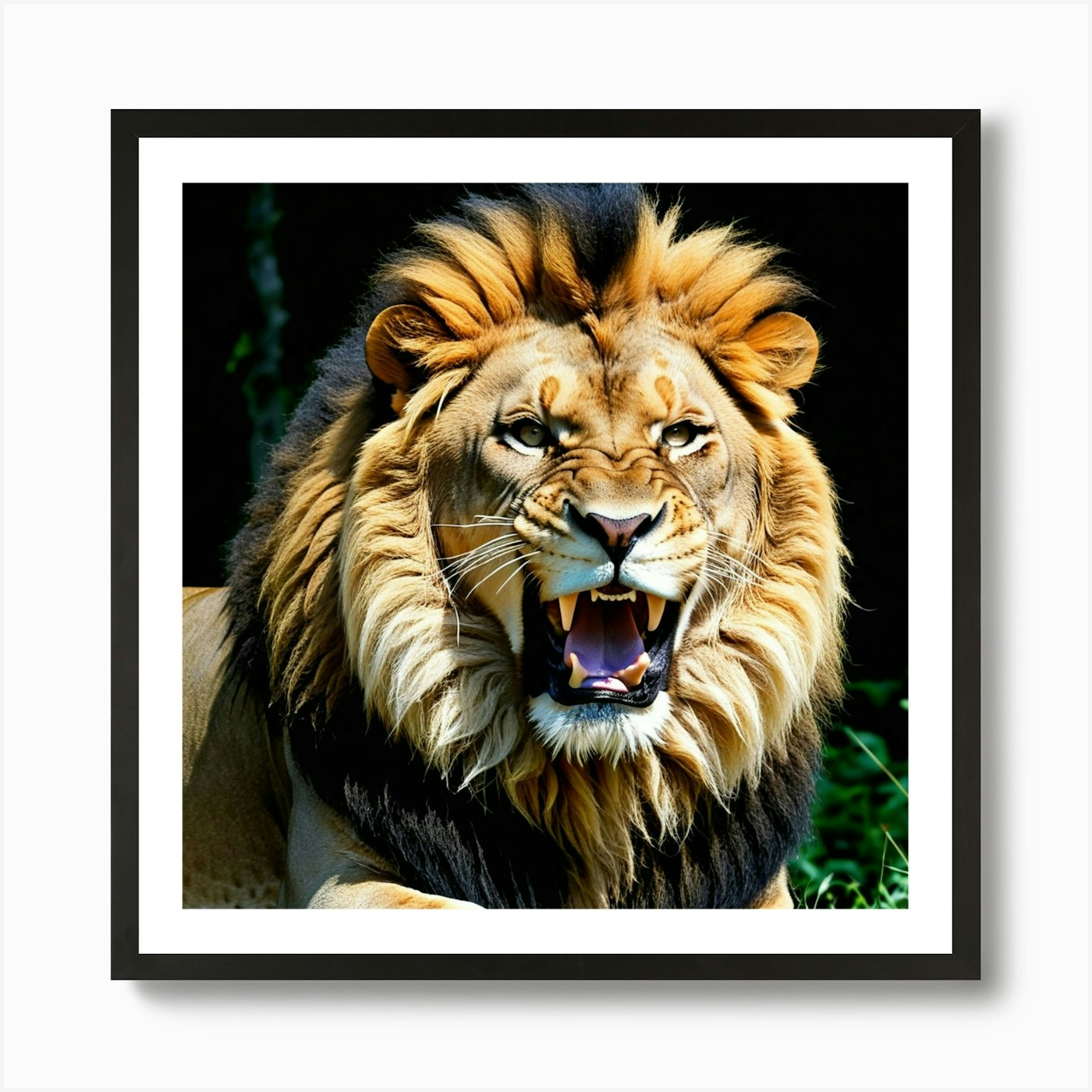 Lion Roaring Art Print Framed Wall Art Poster Canvas Print Picture