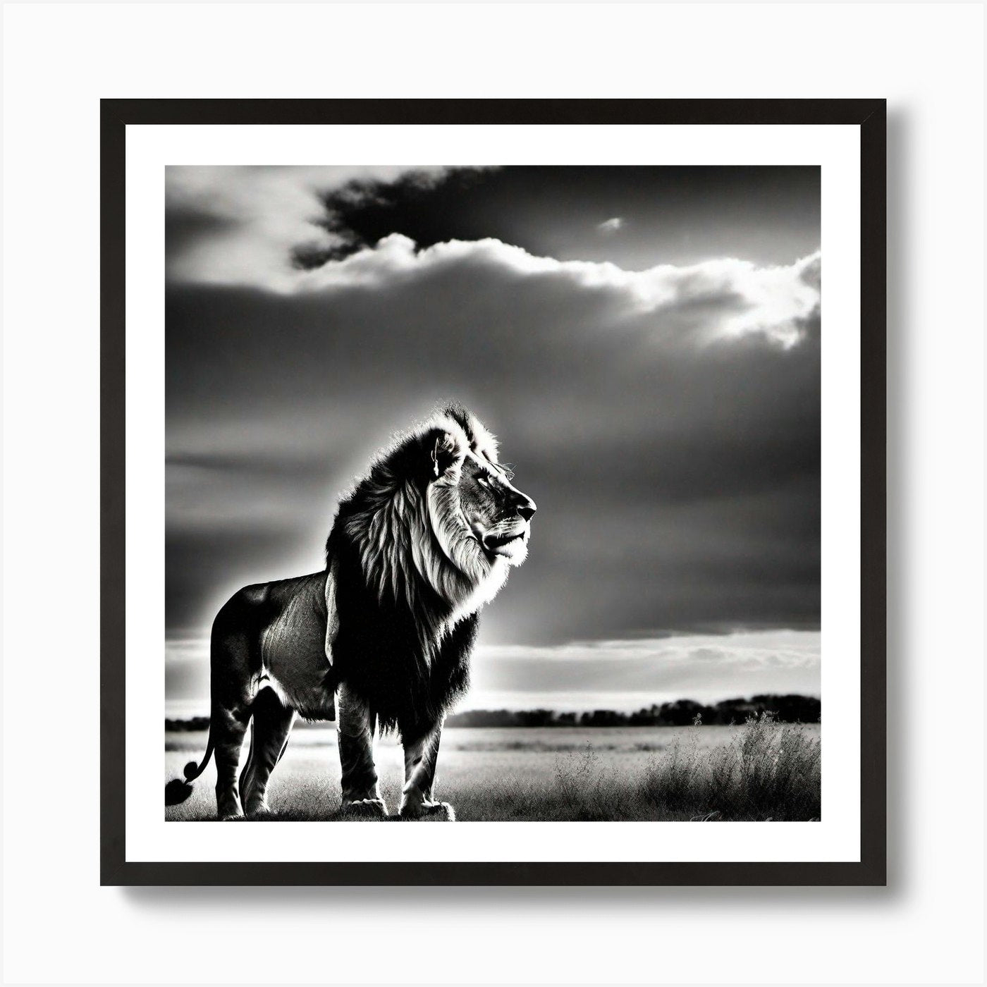 Lion In The Grass Art Print Framed Wall Art Poster Canvas Print Picture