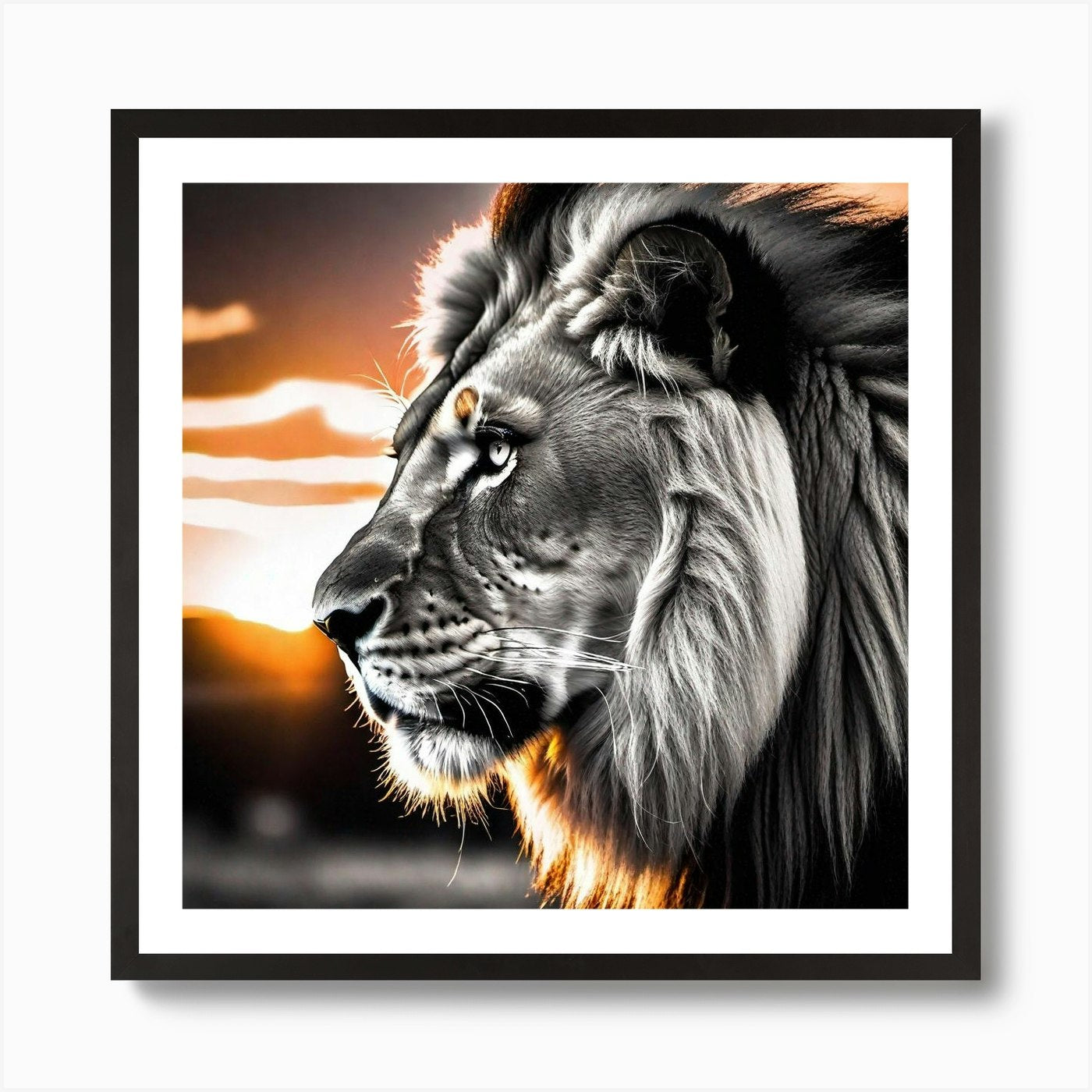 Lion At Sunset 4 Art Print Framed Wall Art Poster Canvas Print Picture