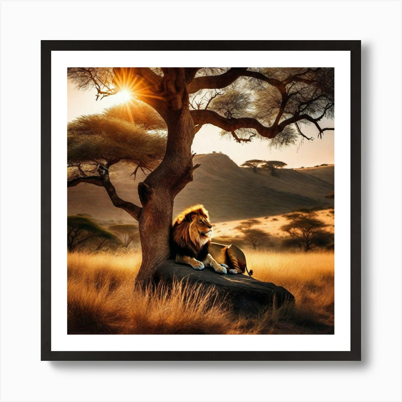 Lion In The Savannah 27 Art Print Framed Wall Art Poster Canvas Print Picture