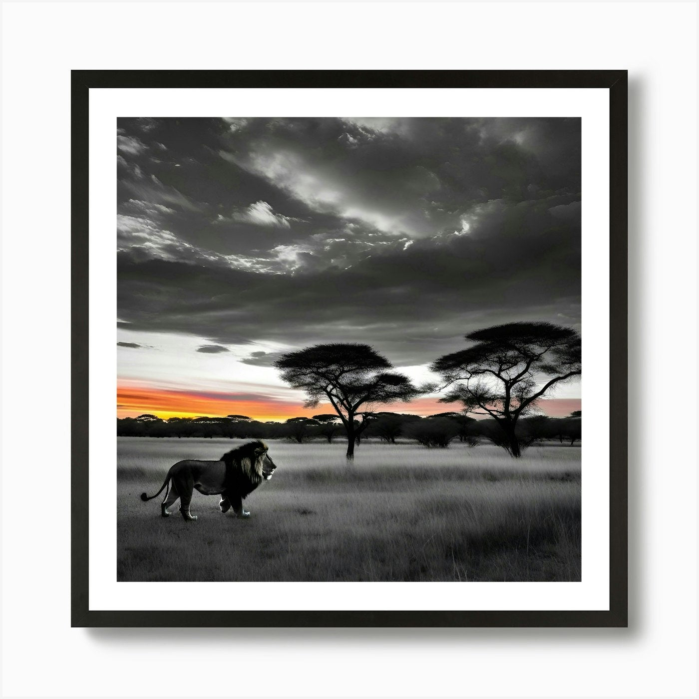 Lion In The Savannah Art Print Framed Wall Art Poster Canvas Print Picture