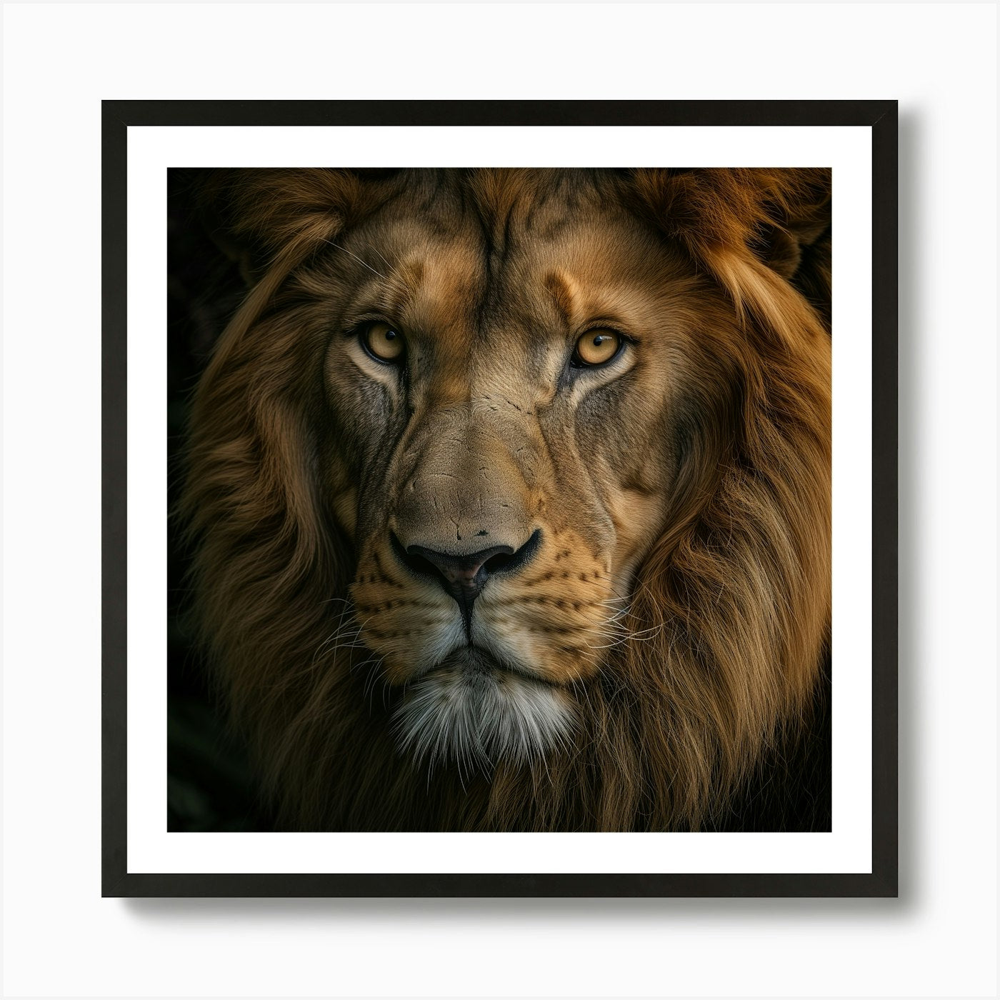 Lion Portrait 1 Art Print Framed Wall Art Poster Canvas Print Picture