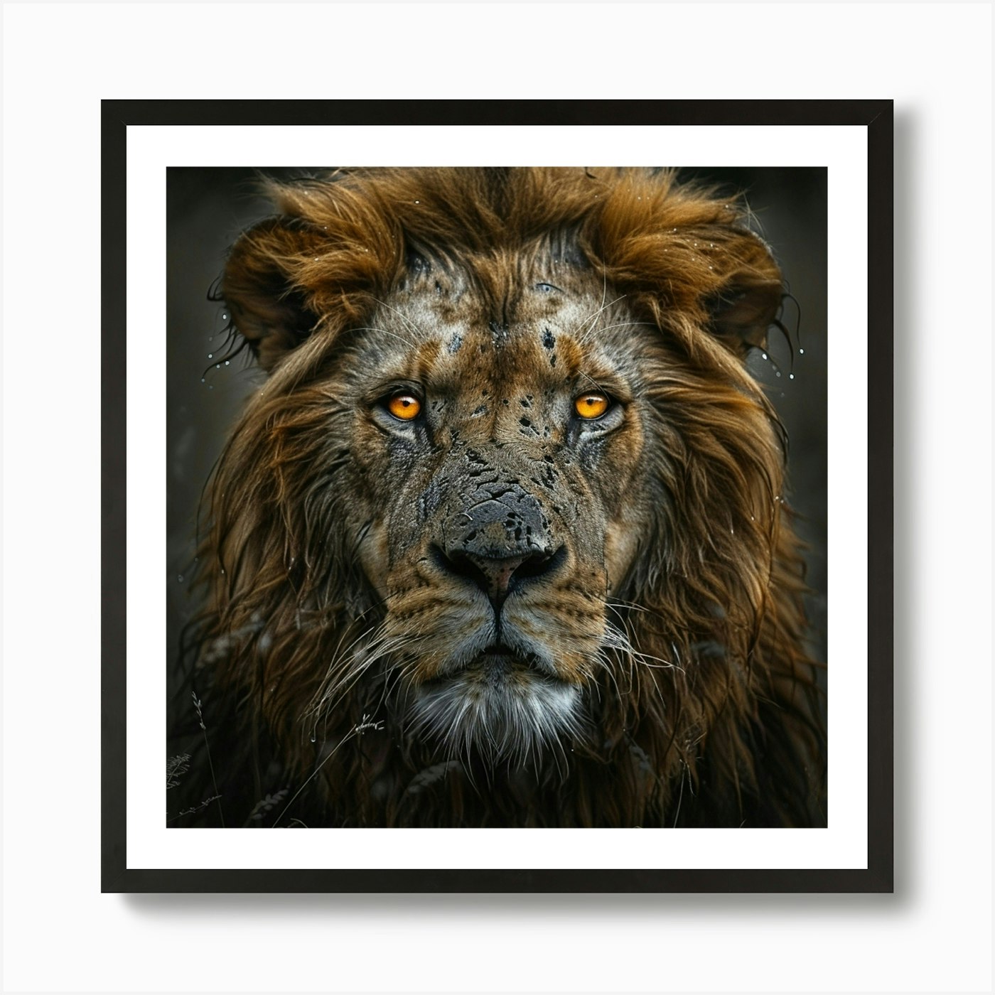 Royal Lion Art Print Framed Wall Art Poster Canvas Print Picture