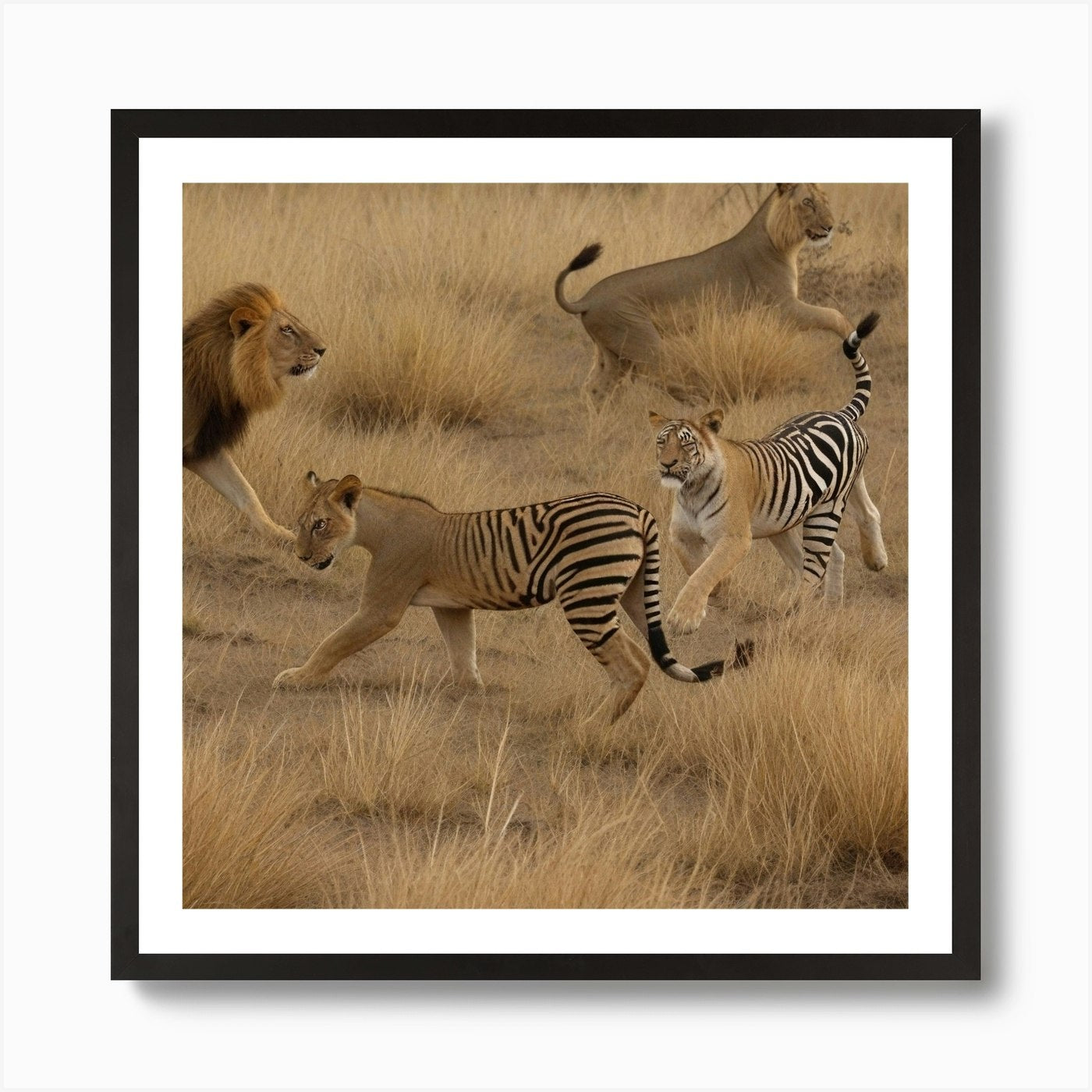 Lions And Tigers Art Print Framed Wall Art Poster Canvas Print Picture