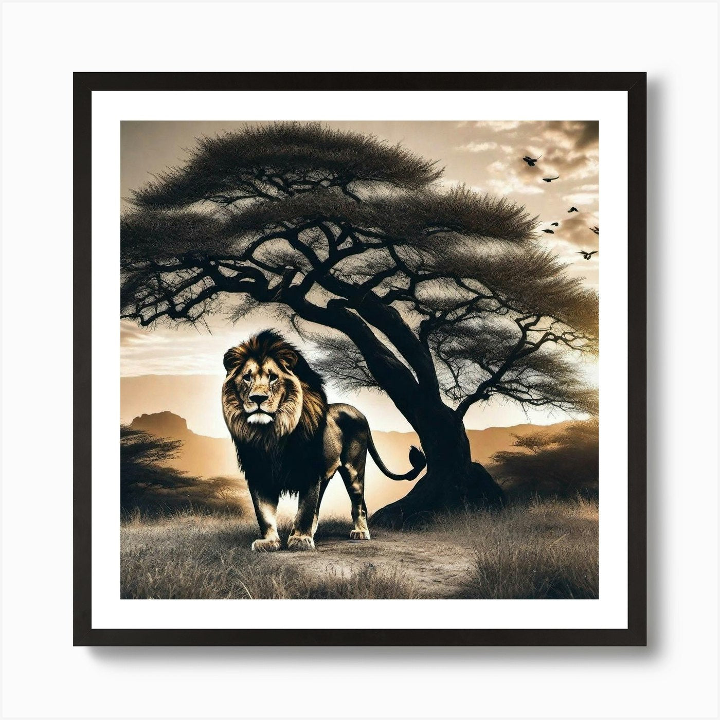 Lion In The Savannah Art Print Framed Wall Art Poster Canvas Print Picture
