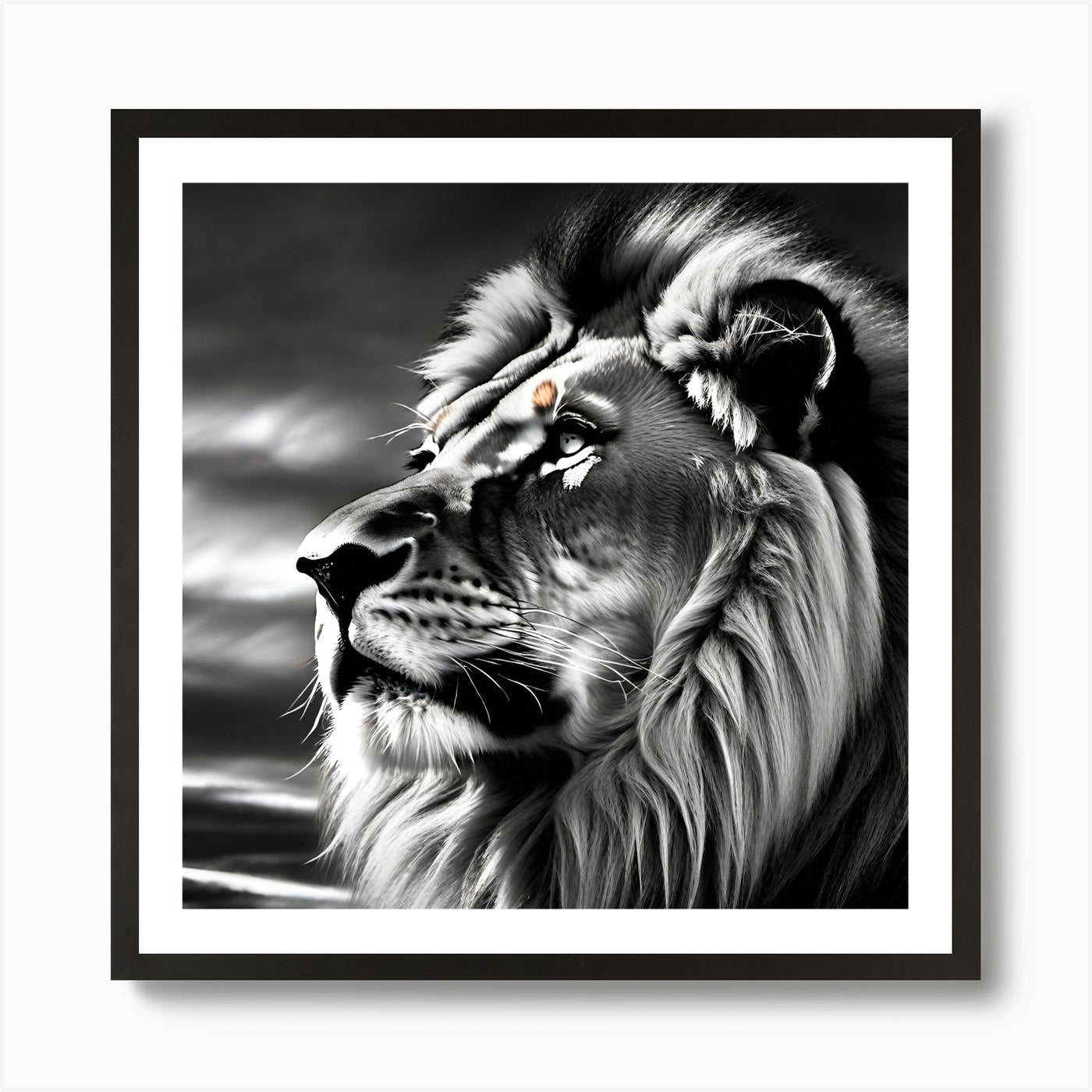 Lion In Black And White 2 Art Print Framed Wall Art Poster Canvas Print Picture