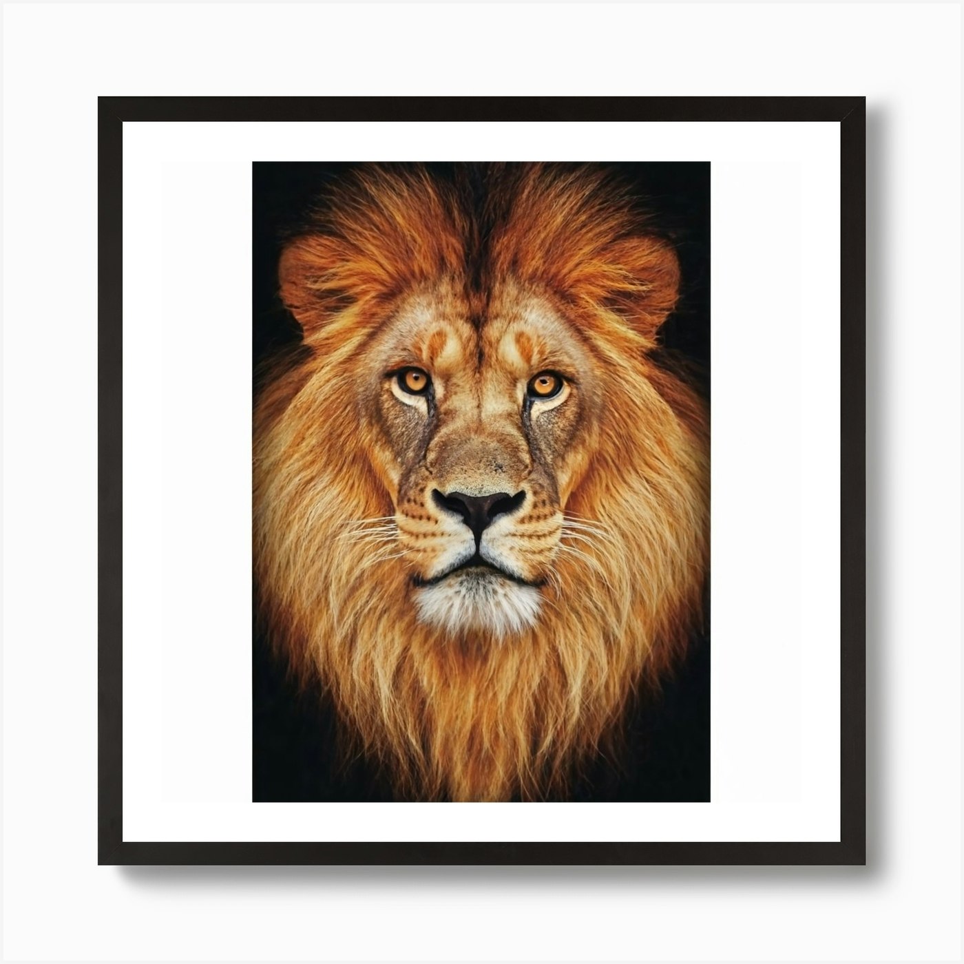 Regal Lion Majesty Print Art Art Pr Framed Wall Art Poster Canvas Print Picture