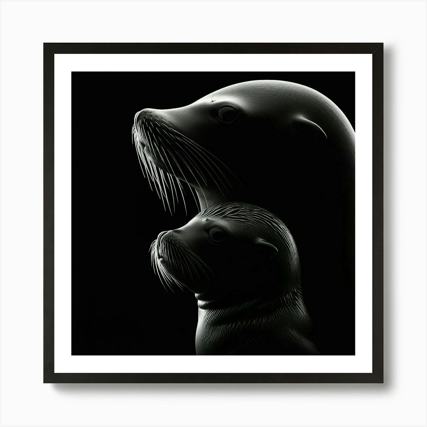 Sea Lions 4 Art Print Framed Wall Art Poster Canvas Print Picture